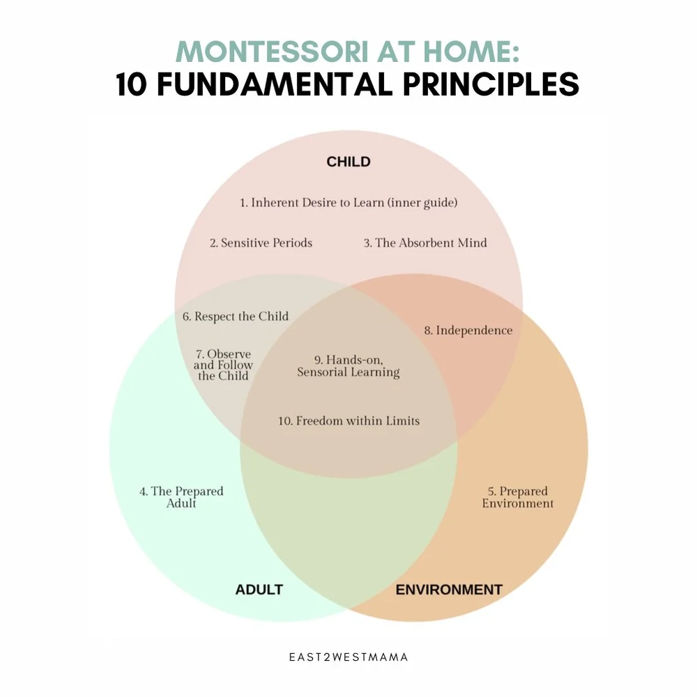 Montessori at Home: 10 Fundamental Principles All Parents Need To Know ...