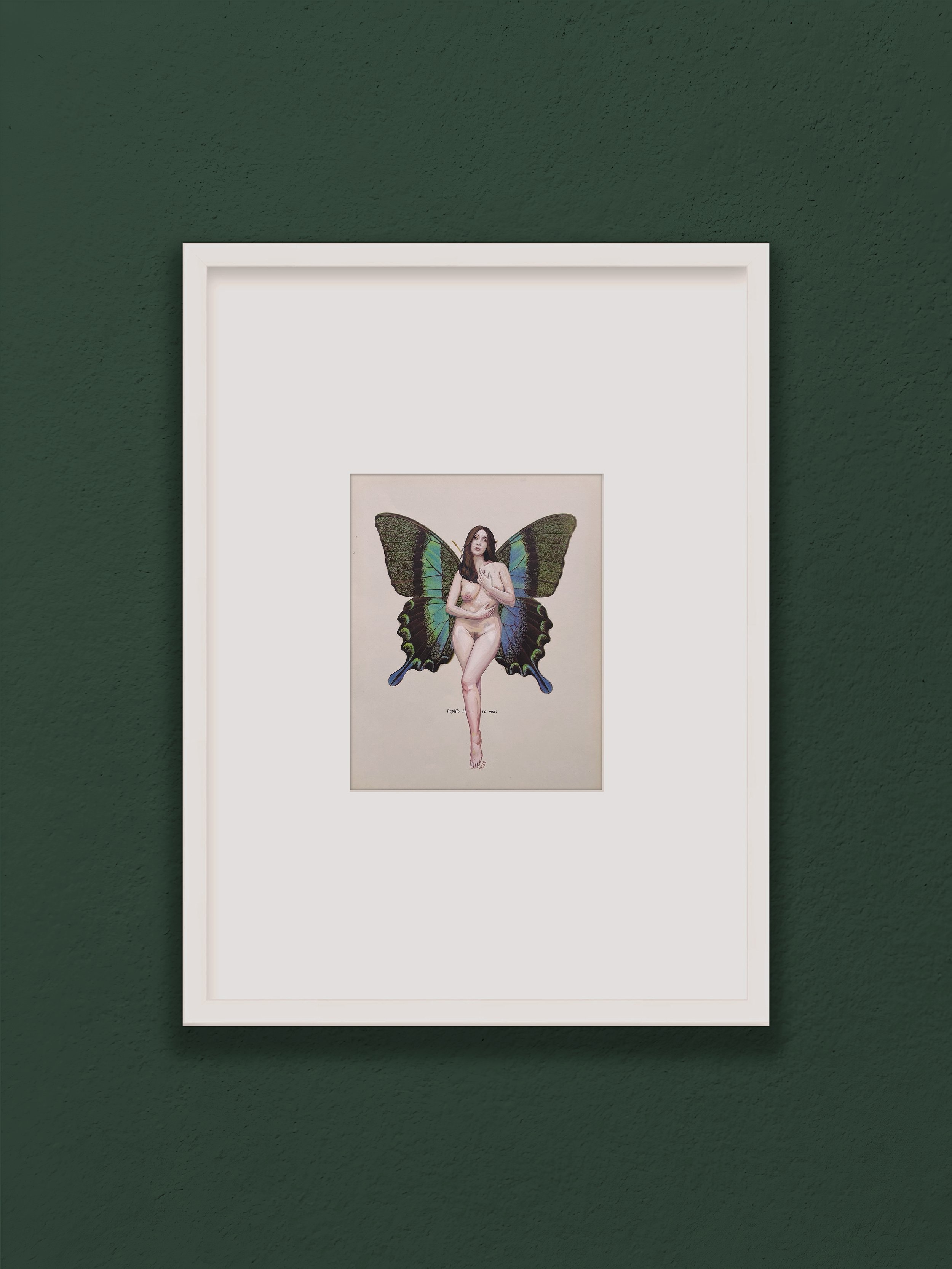 The Weight of Wings_IG.jpg