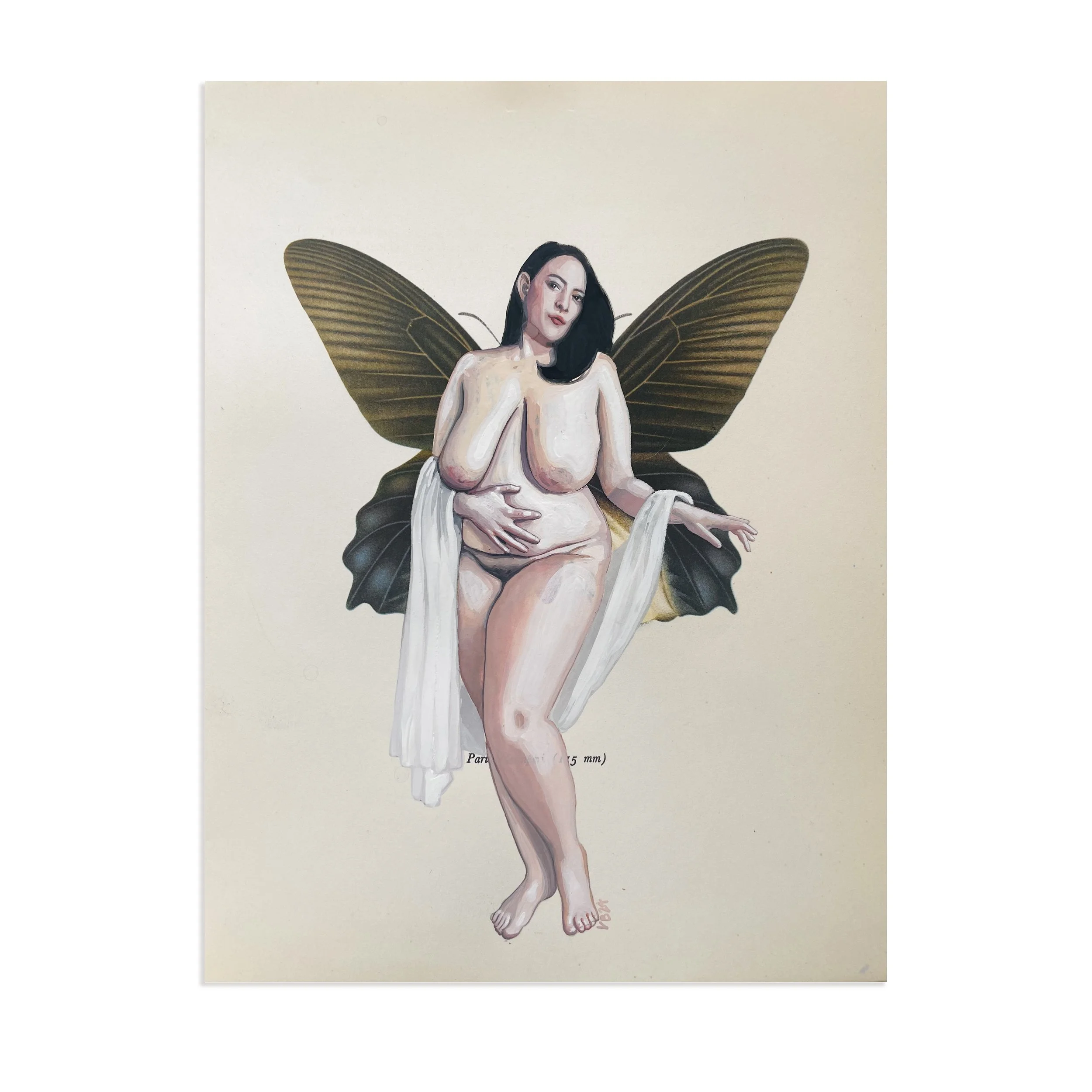 Poppy_Madame Butterfly_unframed.jpg