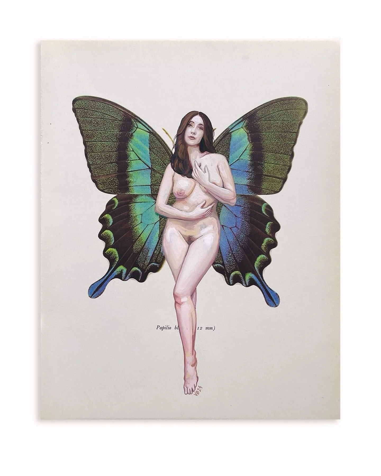 The Weight of Wings.JPG