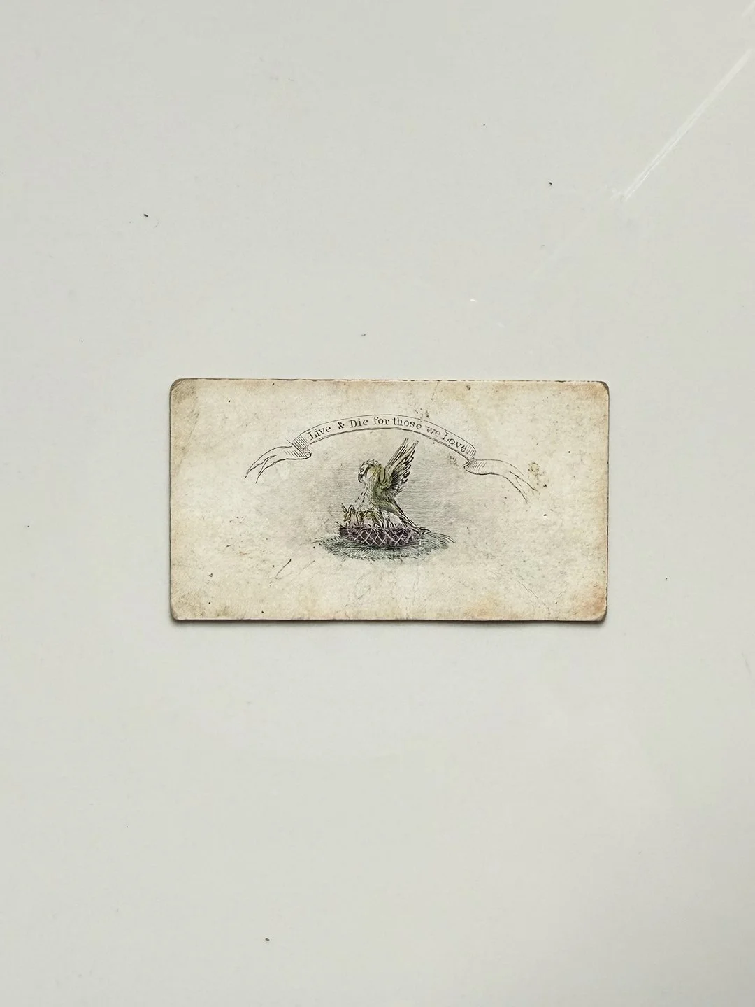 Live & Die card.jpg
