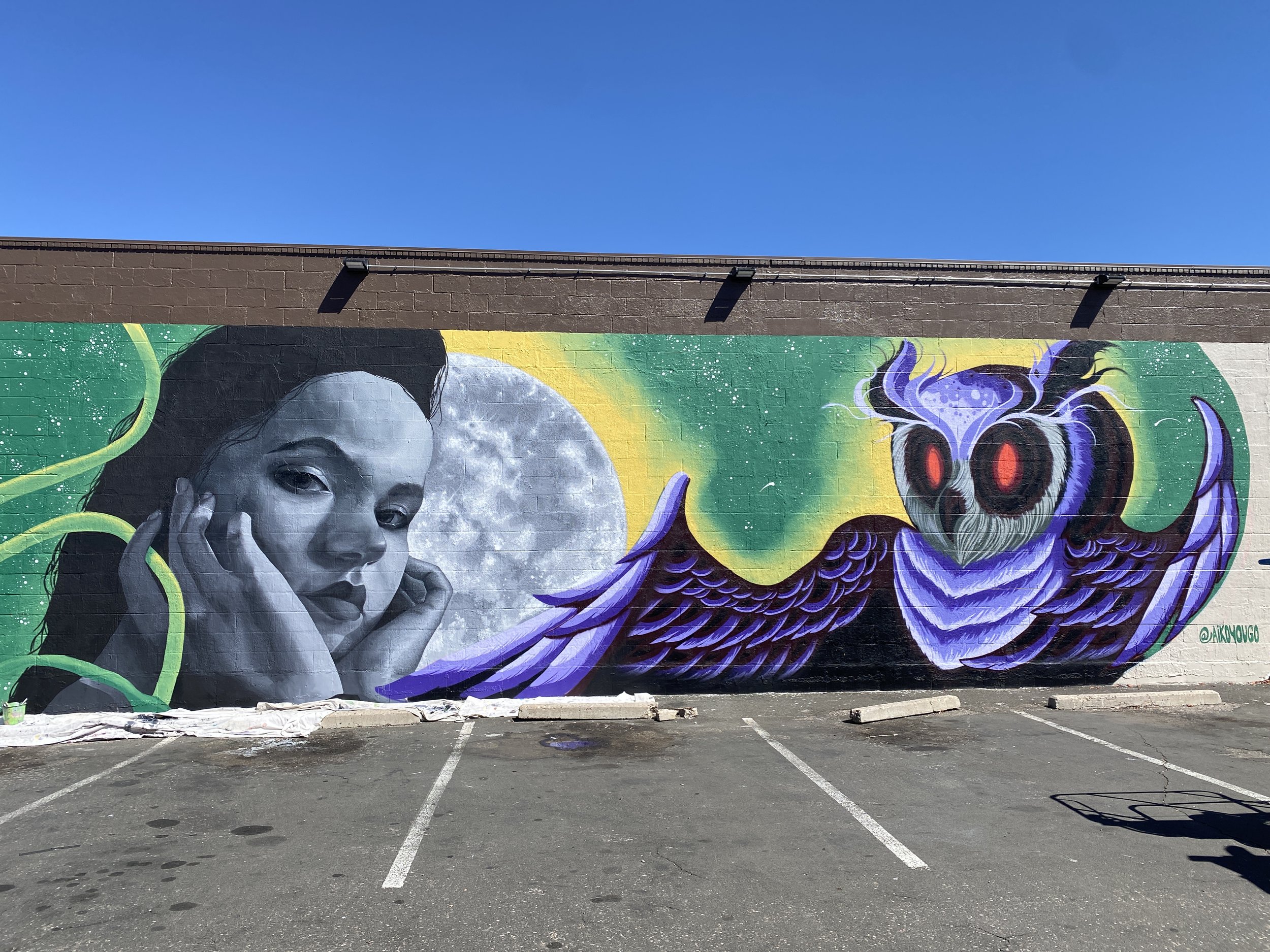 A mural painting featuring a black and white figure of a woman a graphic art style owl with a moon between them.