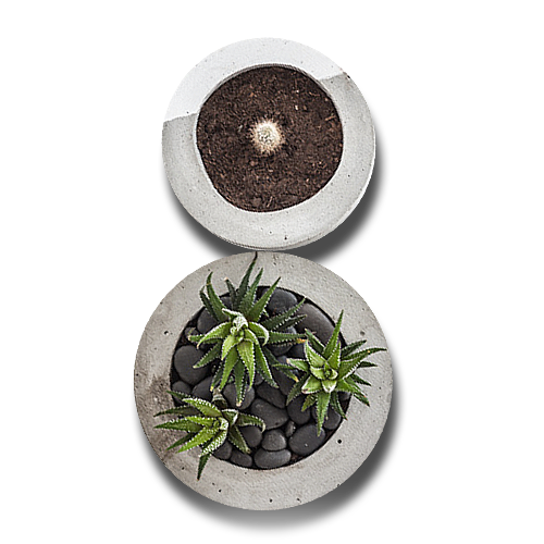 Build sustainable gardens