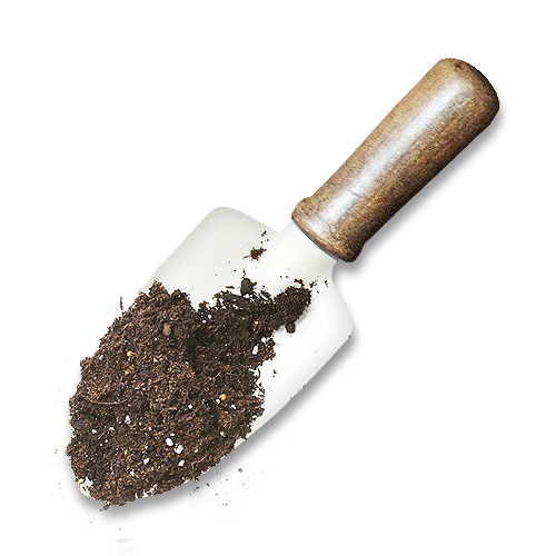 Building healthy soil