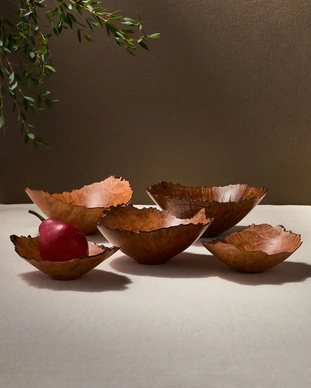 DianaFriend_Sep2026-3.jpg
