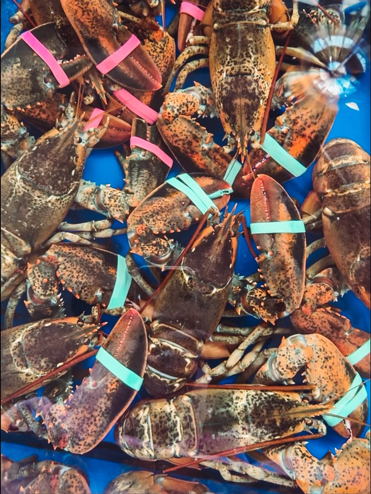 Memorial Day Weekend is here! We&rsquo;re open 10-6pm today, 10-5pm Sunday and 10-3pm Monday *catch us at Saltwater Farm Vineyard on Monday for Raw Bar 2:30-5pm 🦞 🦪 🍤