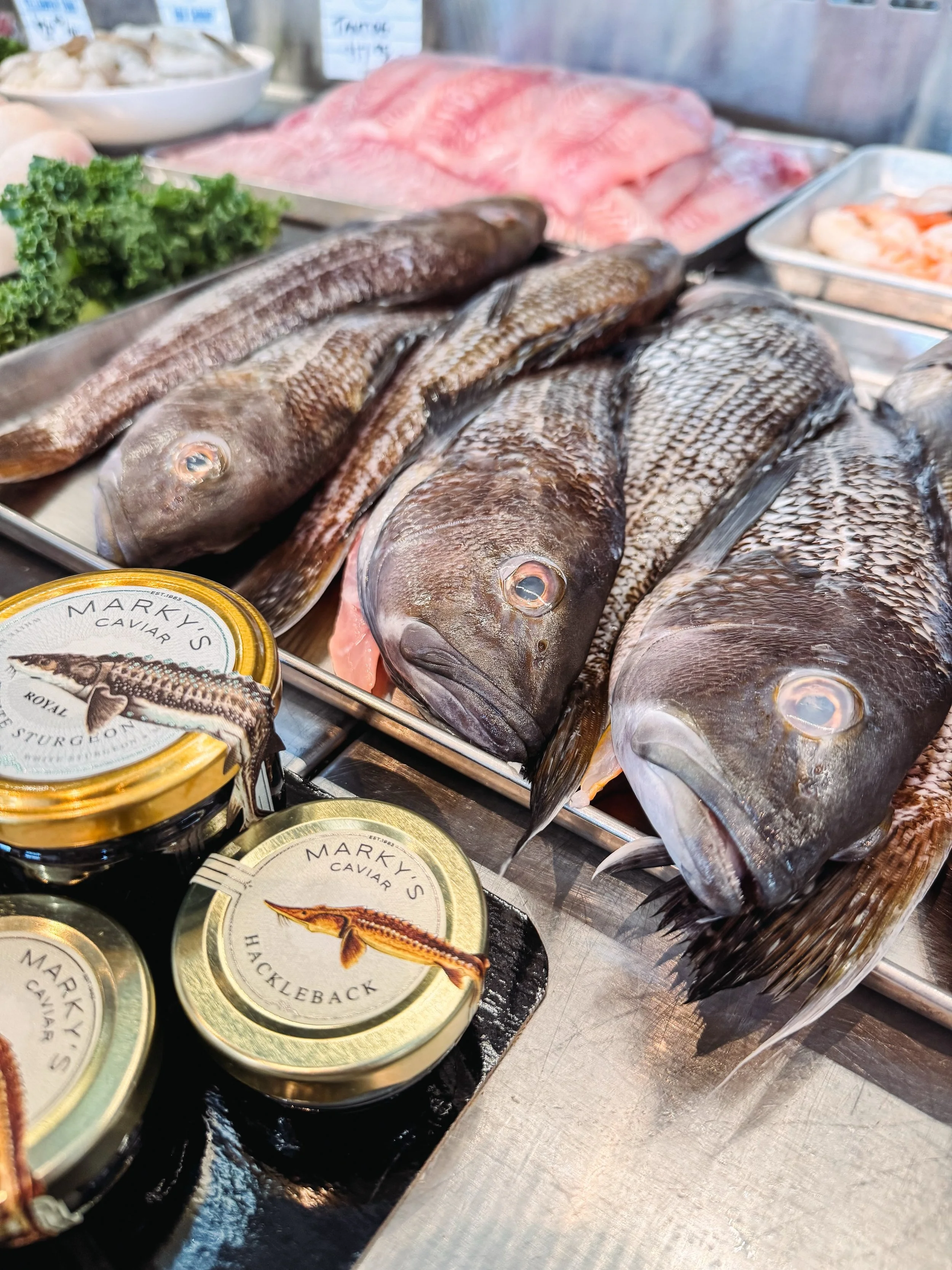 Local whole Black Sea Bass and Blackfish available in the case! 🐟