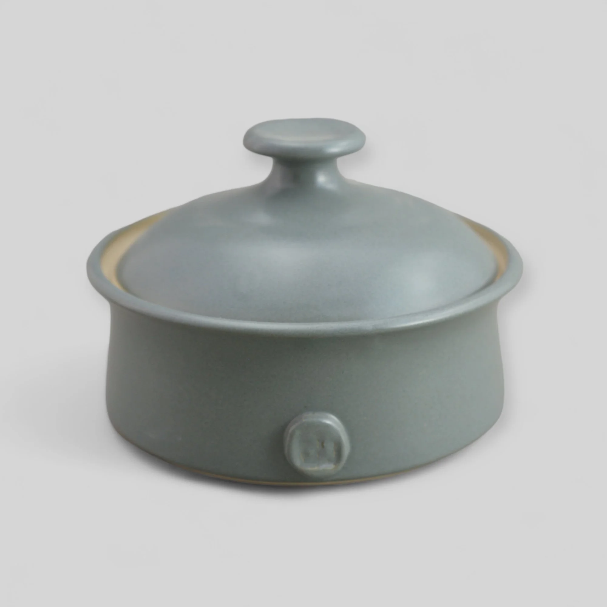 Cuiseur d'ail gris.JPG