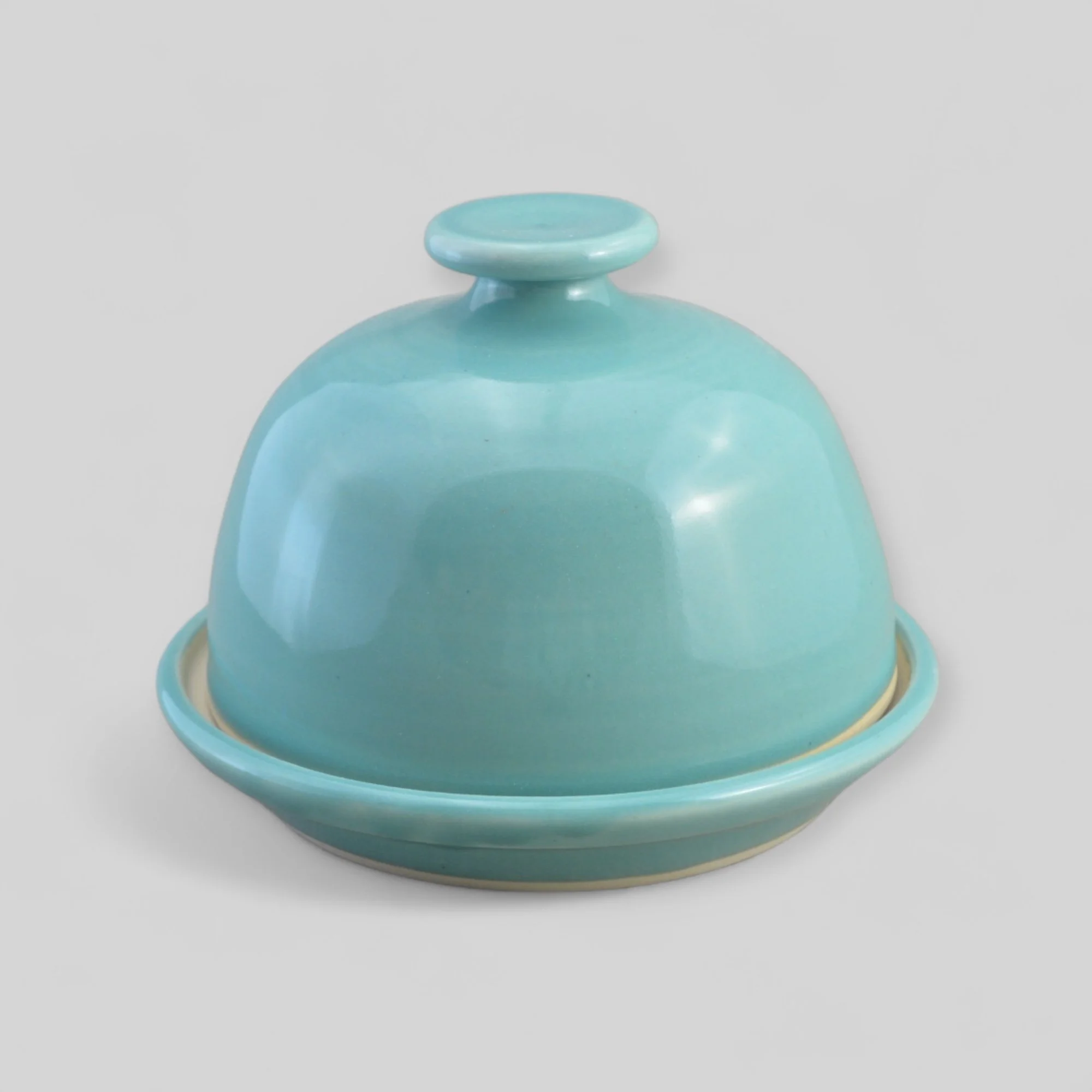 Beurrier turquoise.JPG