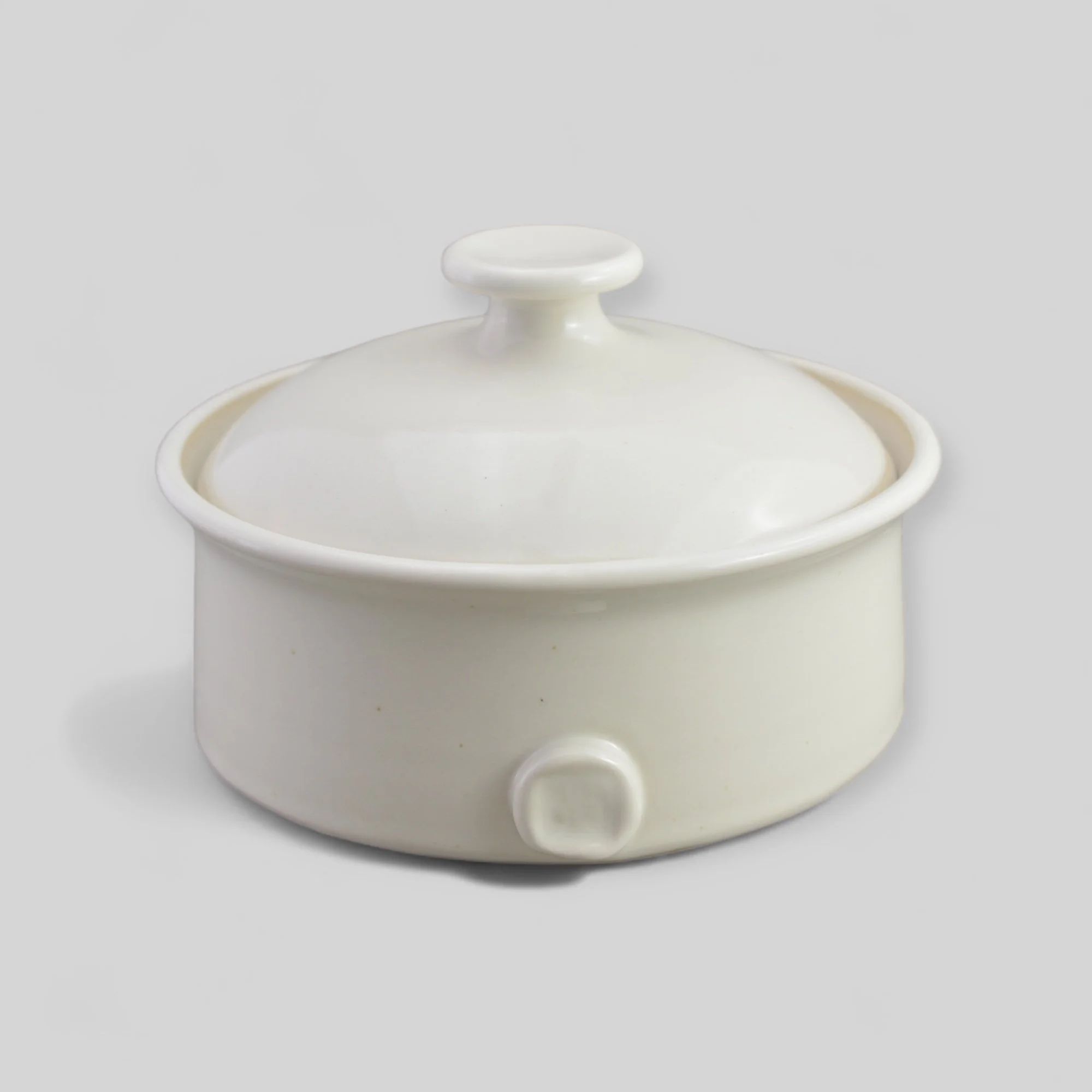 Cuiseur d'ail blanc.JPG