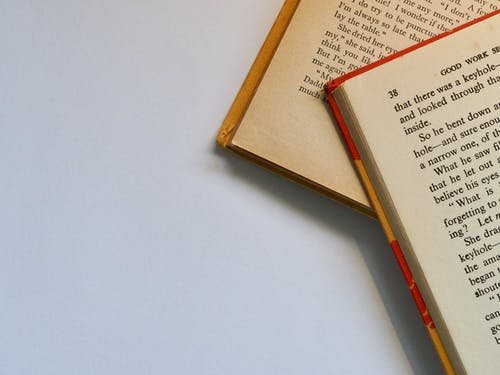 pexels-photo-762686.jpeg