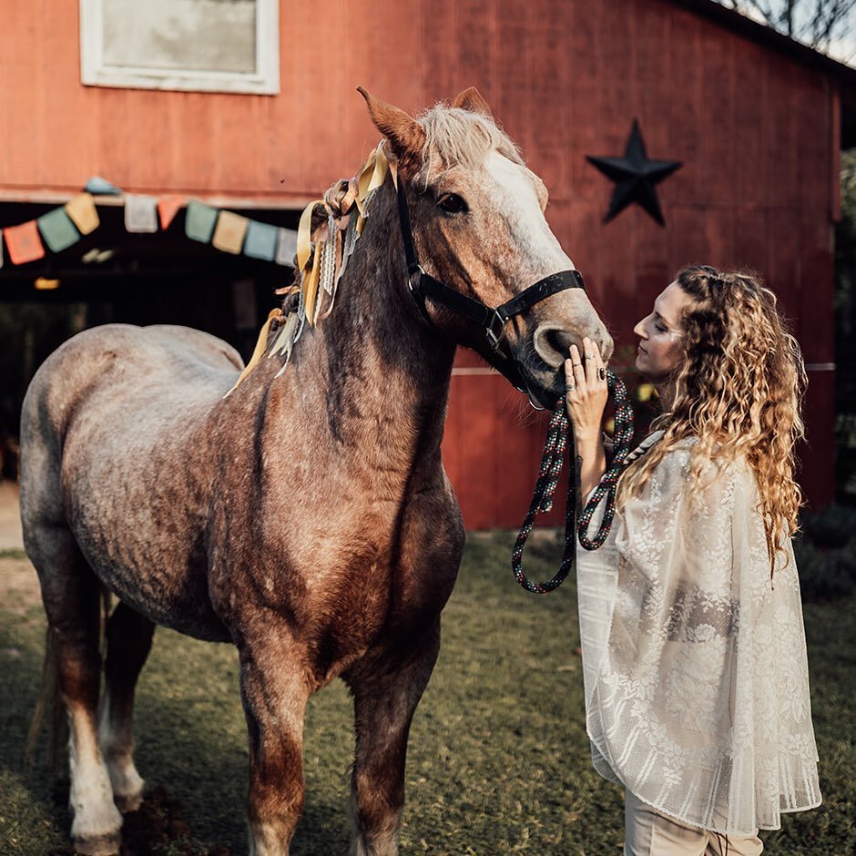 🌱GIFT AWAY🌙
 Want to start of the week off with a little horse magic? We have a *last minute* opening and we want to share it with some local earth lovers!

We are giving away a FREE horse-yoga experience!!
The class is ~this coming Monday (28th) @