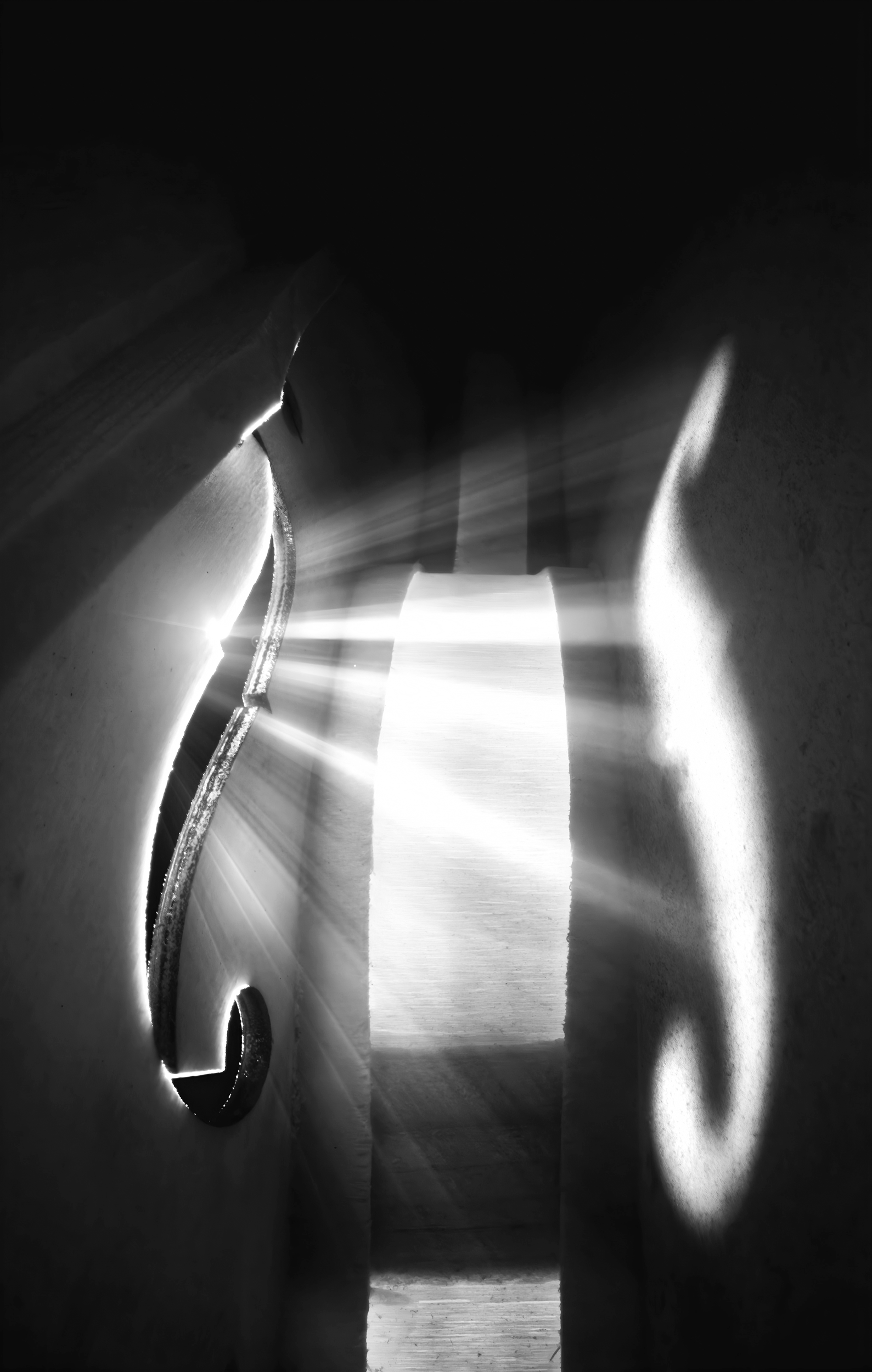 Interior of a violin illuminated by light, read as architectural form expressing structure across artistic disciplines for Gabriel Messuti