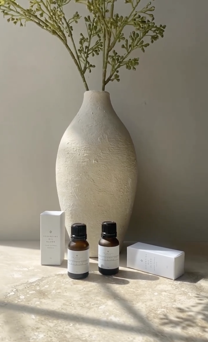 Screen Shot 2024-02-20 at 8.37.50 AM.png