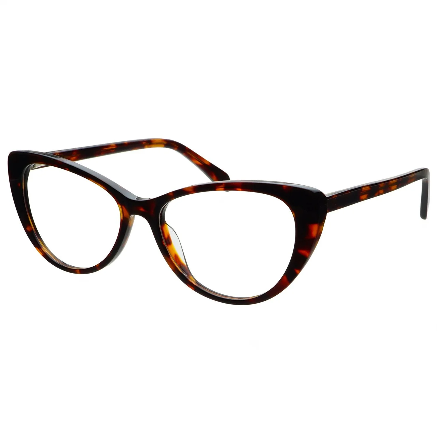 Clare Tortoise