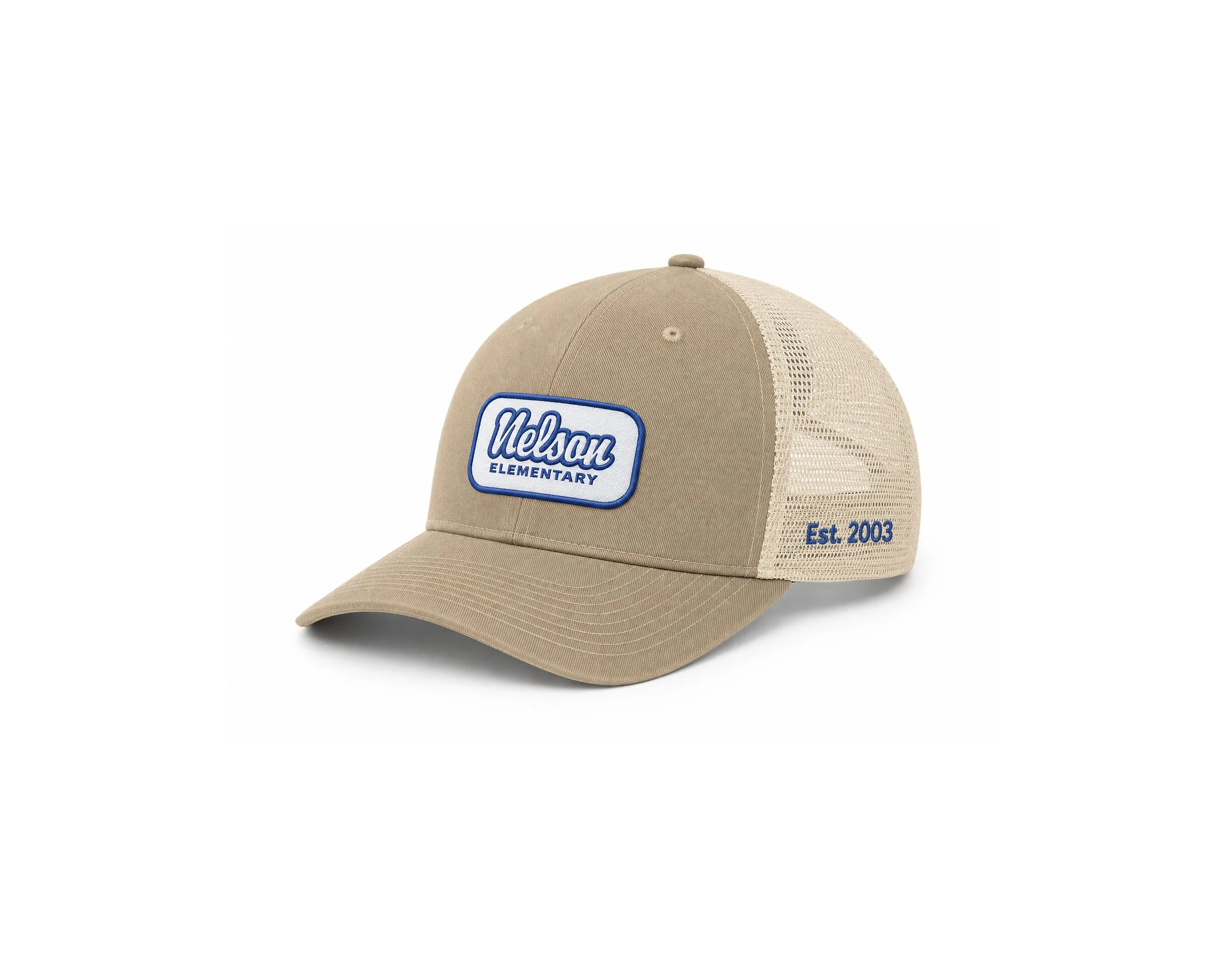 Nelson Elementary Distressed Low Profile Hat