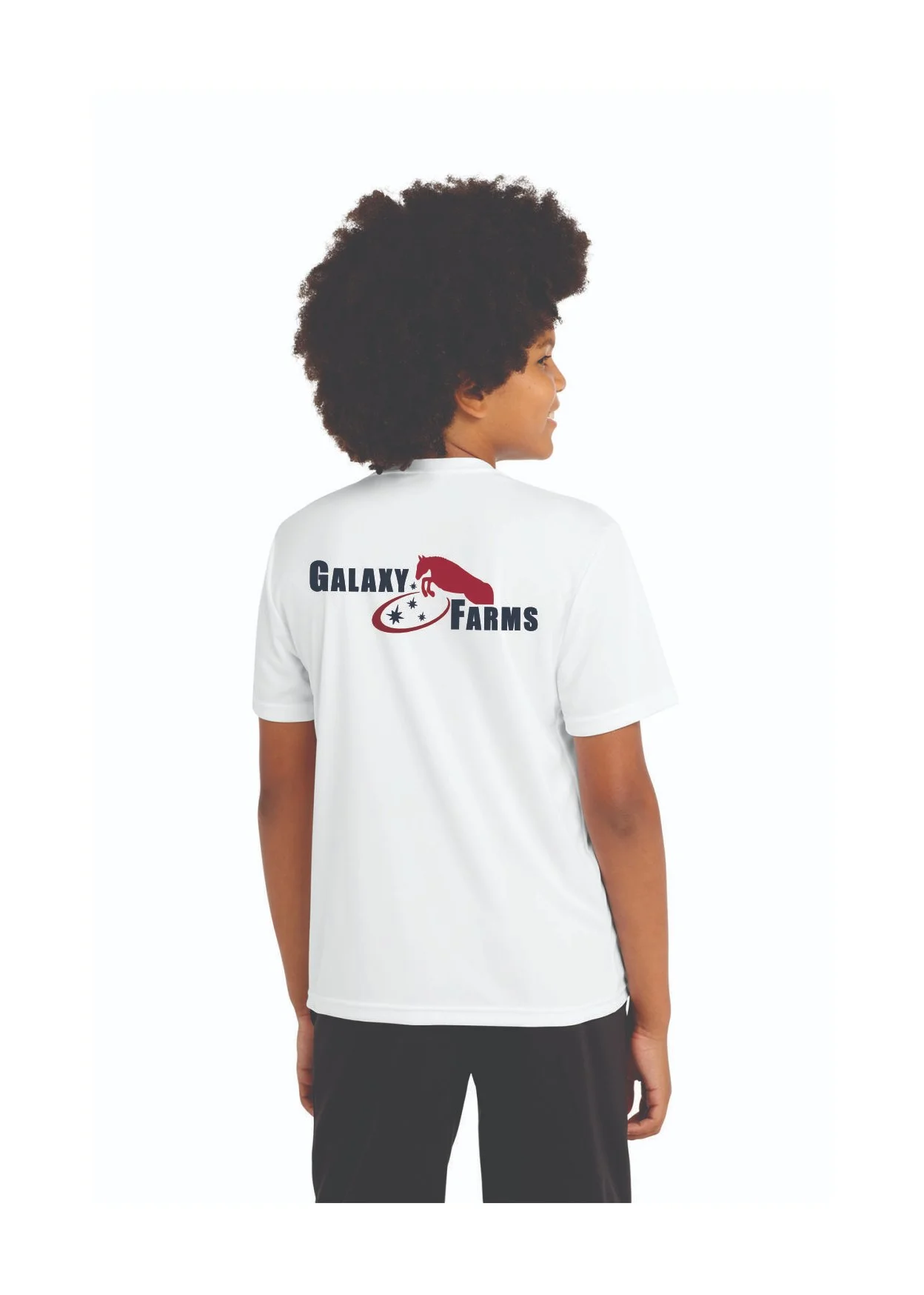 YST350 White Back.jpg