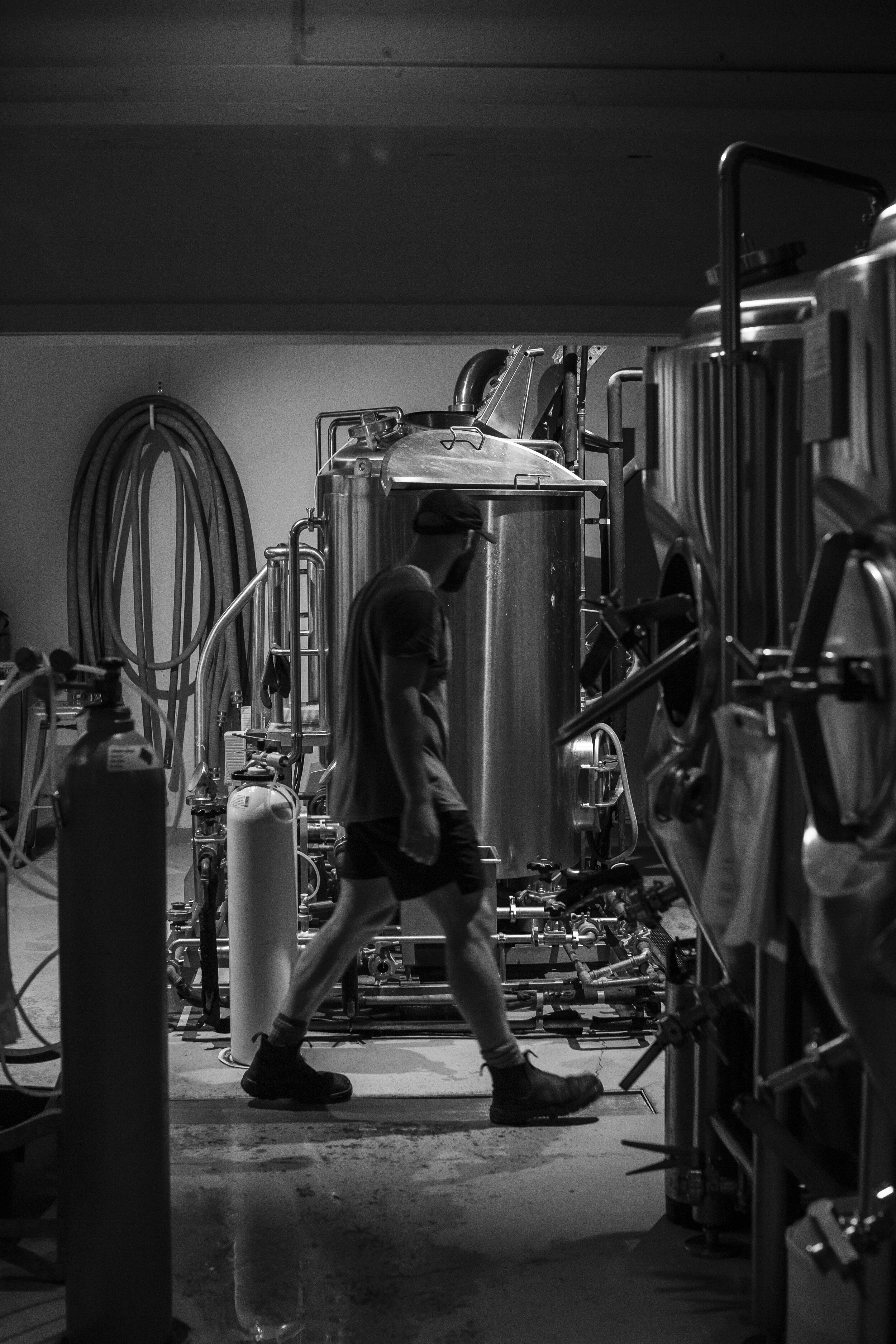 Head Brewer — Thirsty Crow Brewing Co.