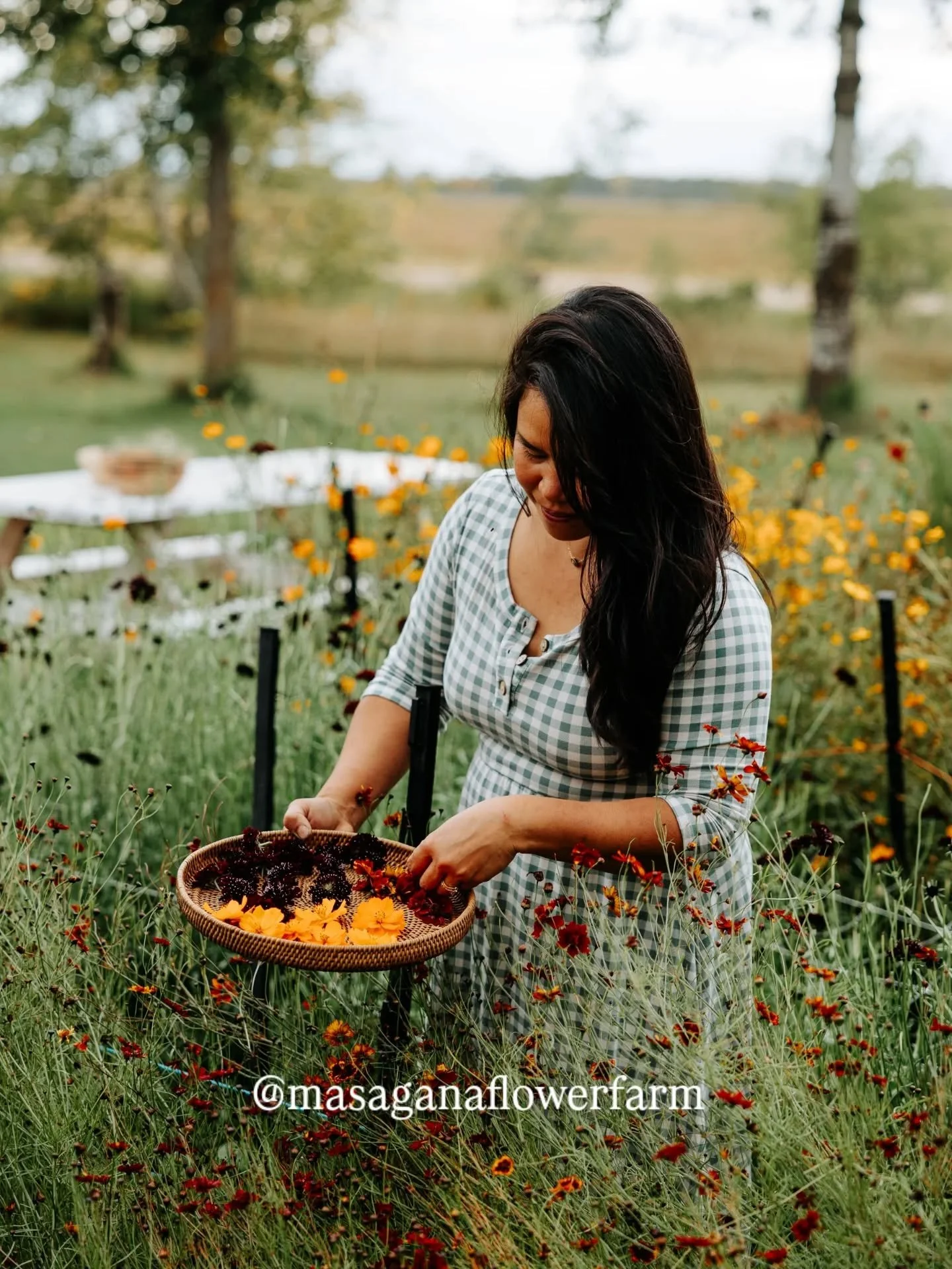 🍂2025 garden clean-up, done! I left four rows for the birds to feast in the seed heads this fall and winter. This is the fastest cleanup I've ever done with hubby's help!

🌼This year, I scaled down and only grew flowers on 9 beds (20-feet long each