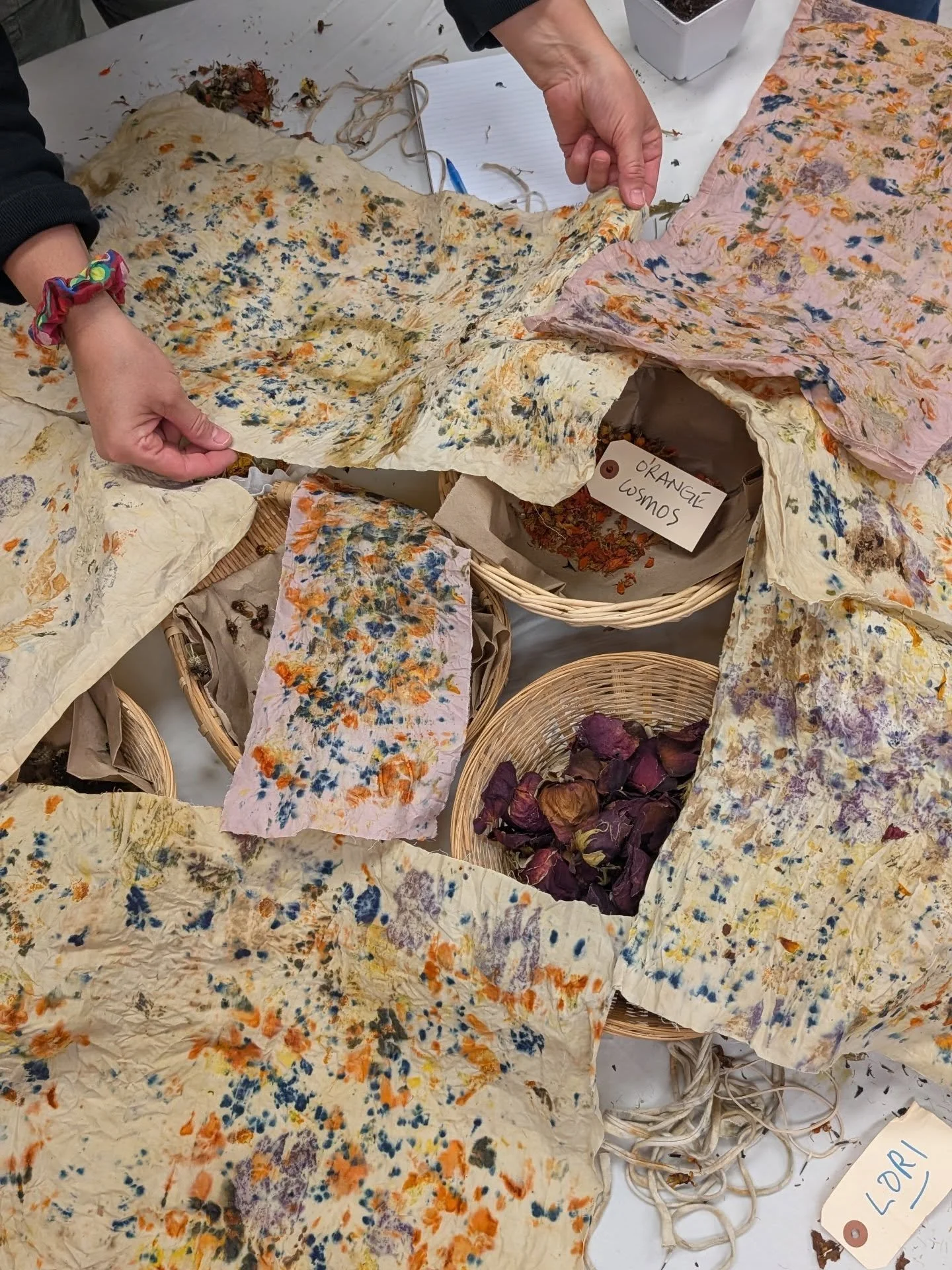 🎒 Taught eco-printing to some teachers today at @ecoleleilanorth organized by @mheta_mb!

💐These are cotton sheets that were treated with tannin blend (pink) and myrobalan (yellow) tannin before the alum mordant. Eco-printed mostly with flowers I g