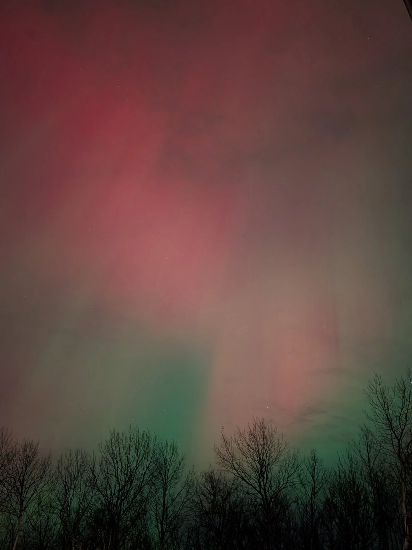 🌌We would never grow tired of it this view. Look up, look up!  #auroraborealis