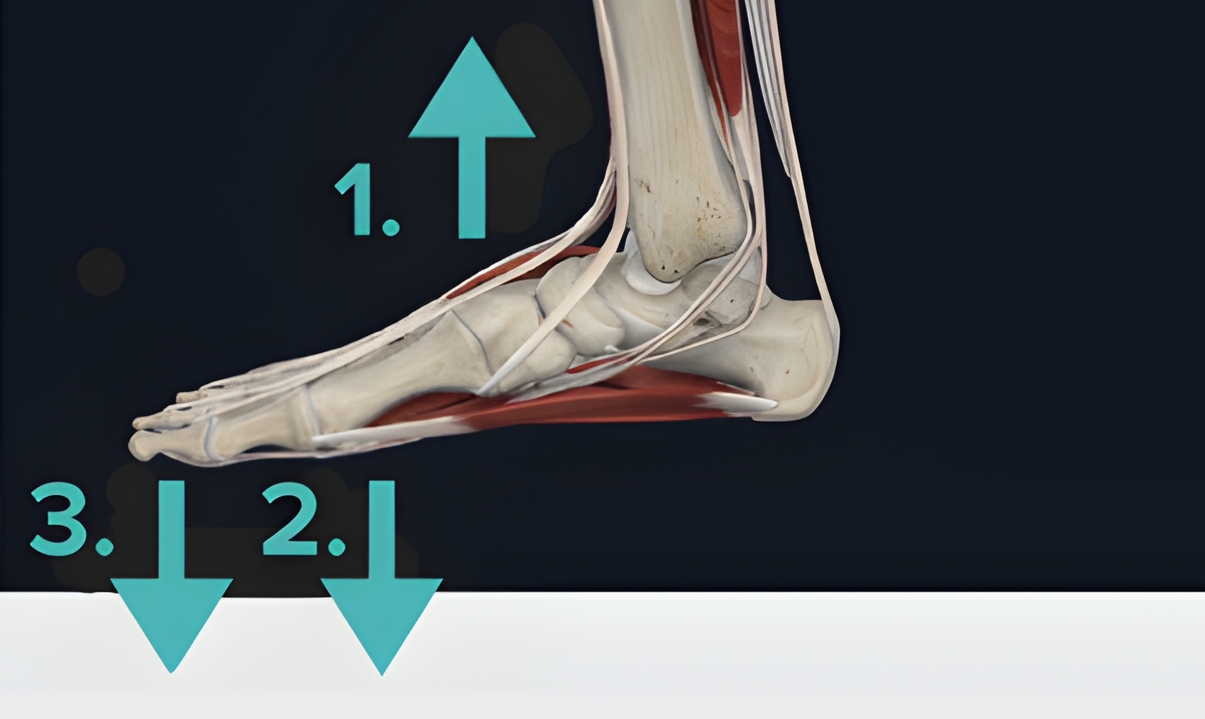 The Big Toe is a Big Deal