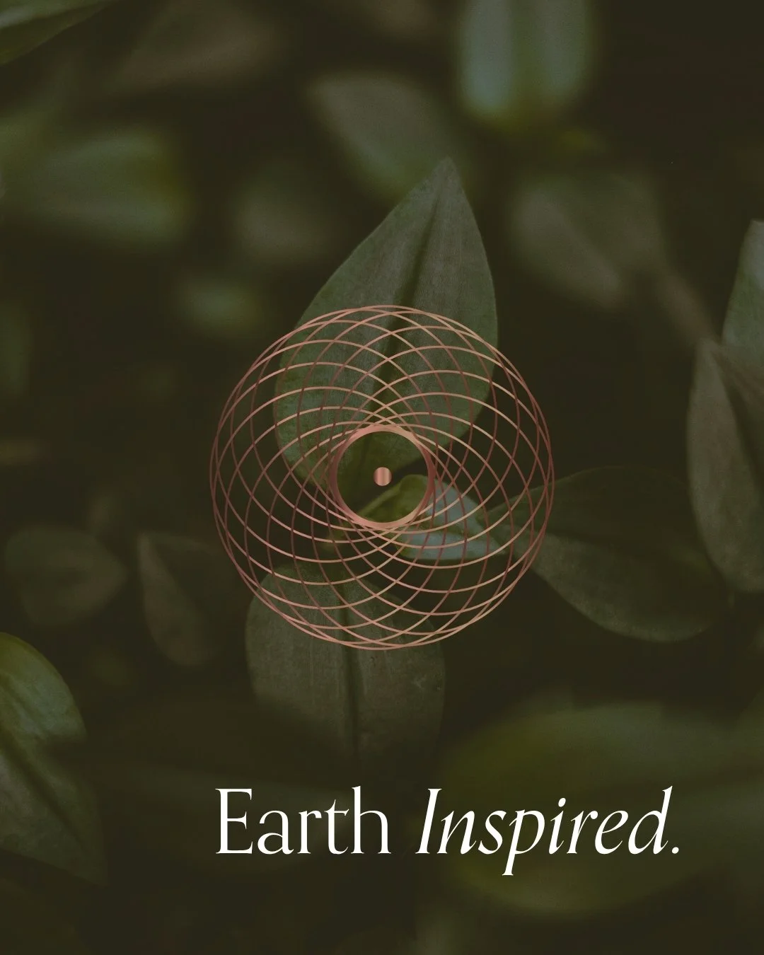 Amora-Creative-Gaia-Soul-Portfolio.jpg
