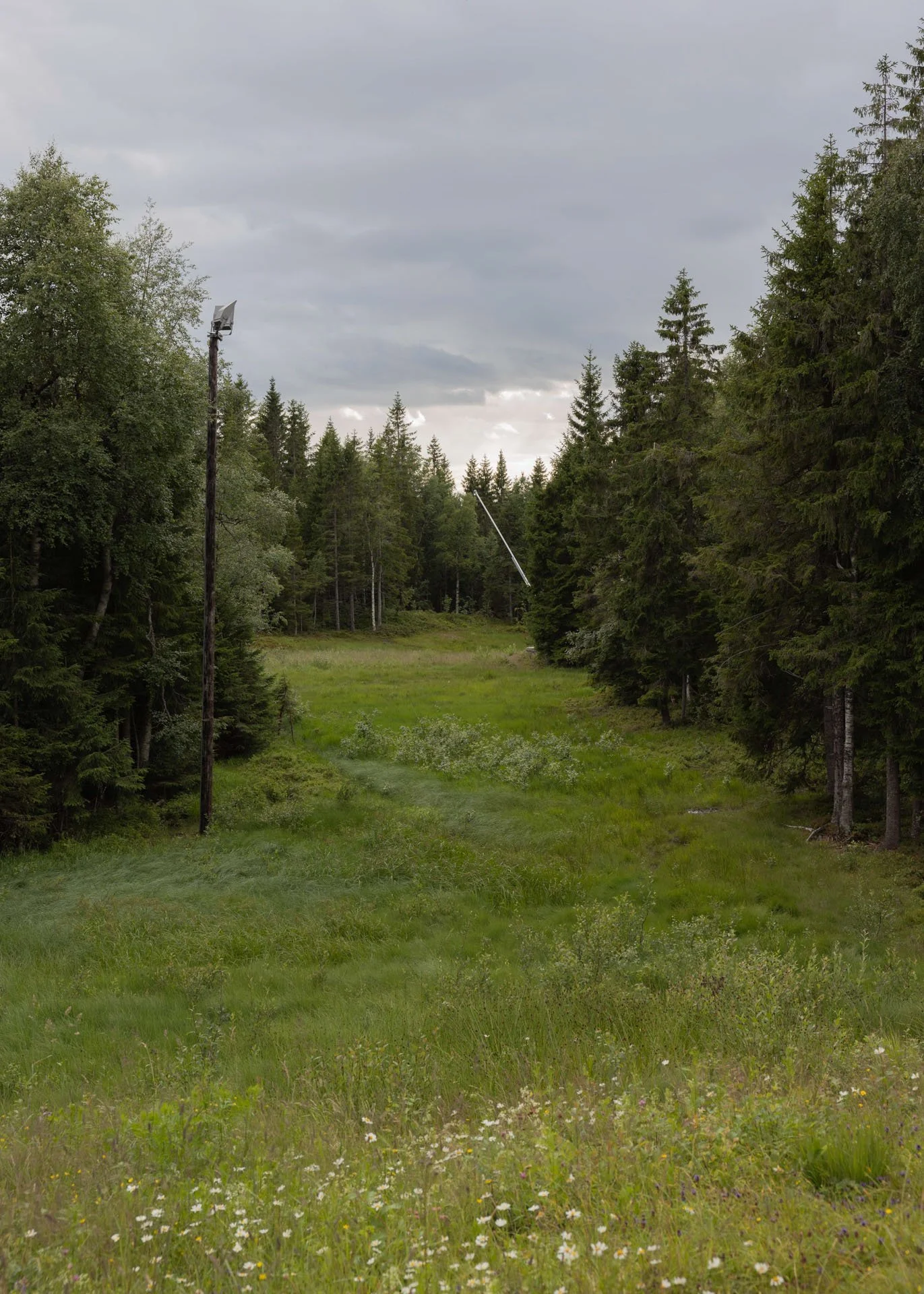 Norway Daniel Ribar (24).jpeg