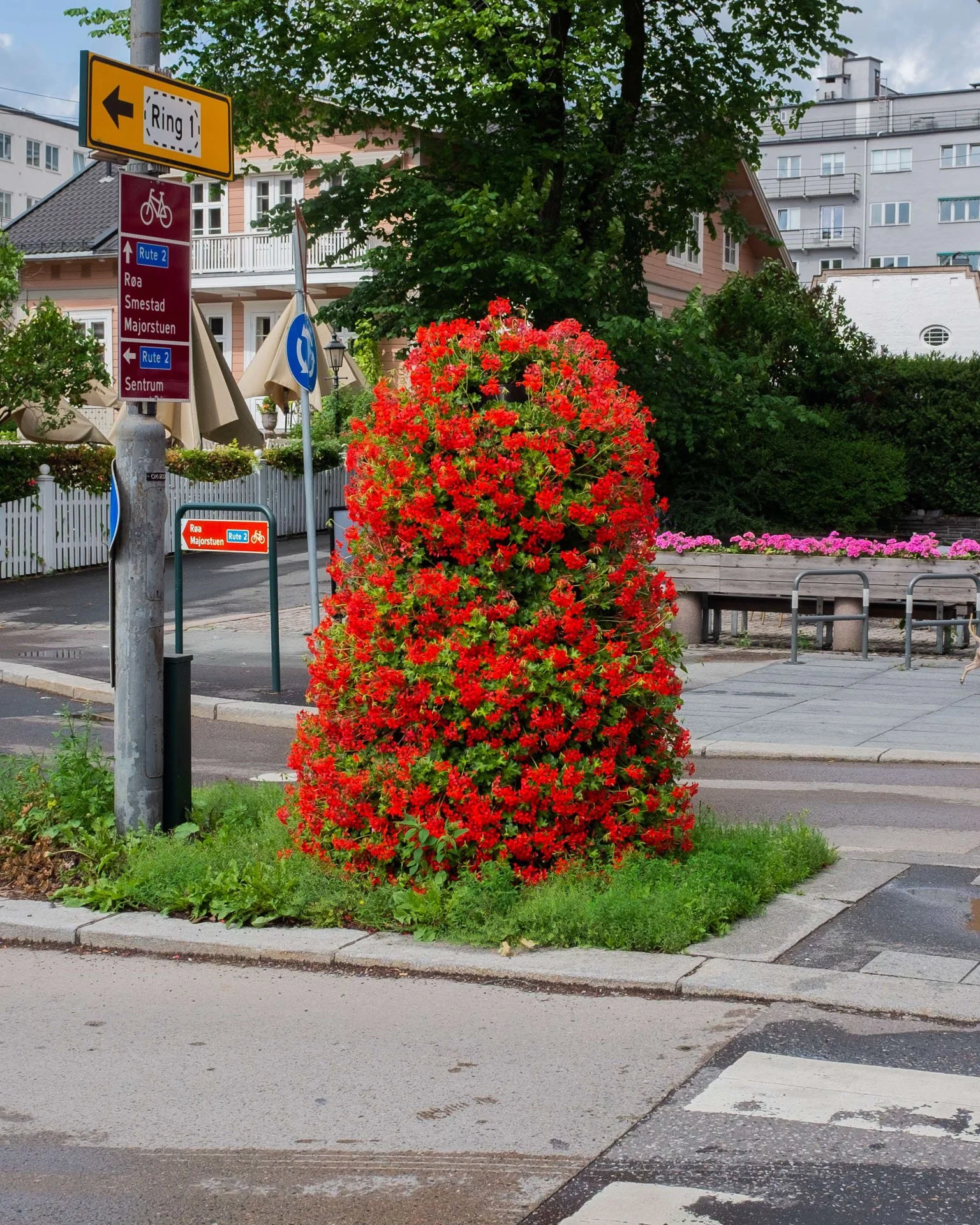 Norway Daniel Ribar (63).jpeg