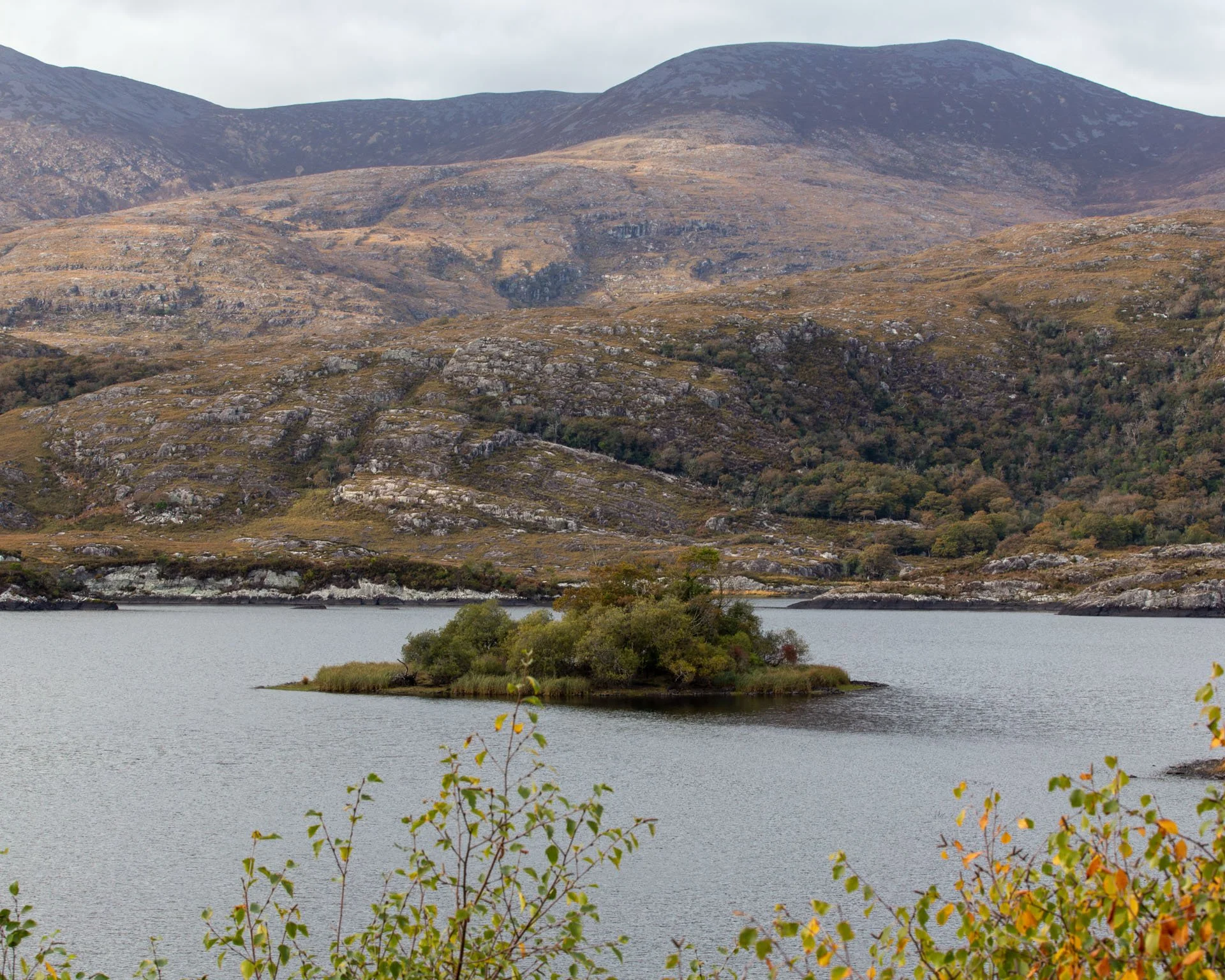 Ireland Daniel Ribar (54).jpeg