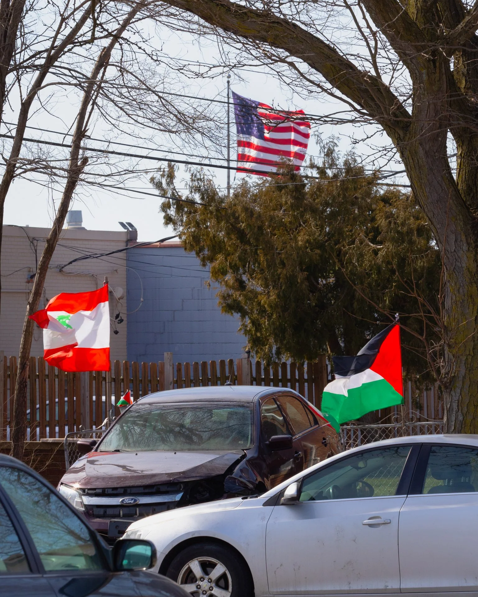 Daniel Ribar  (4).jpeg