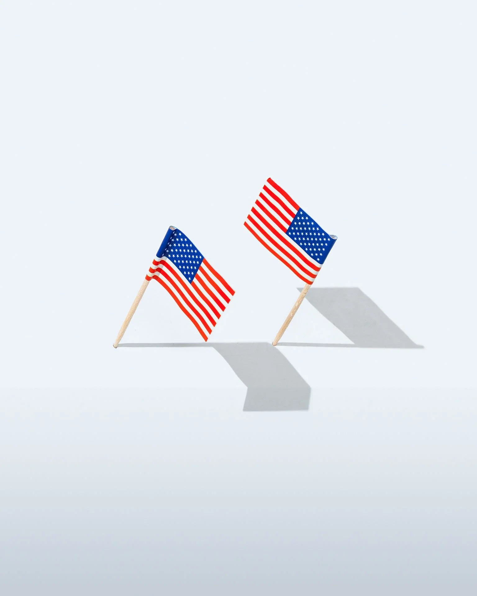 Daniel Ribar Debate Concepts (4).jpeg