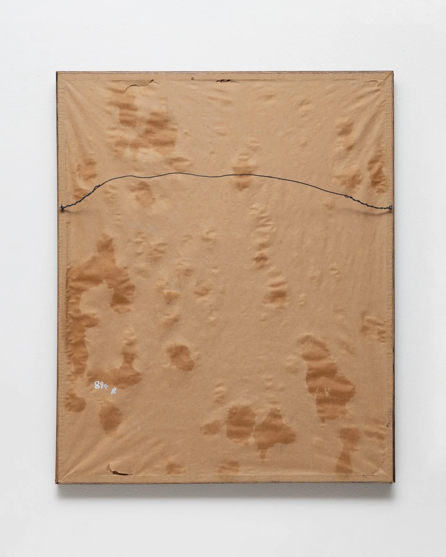 Wet Snow Paintings 2.jpeg