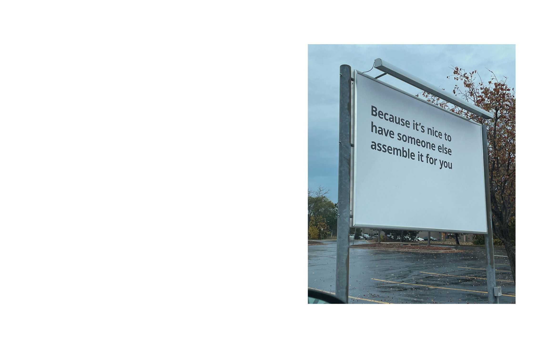 fffffffdsdsfdsfds-3 copy.jpeg