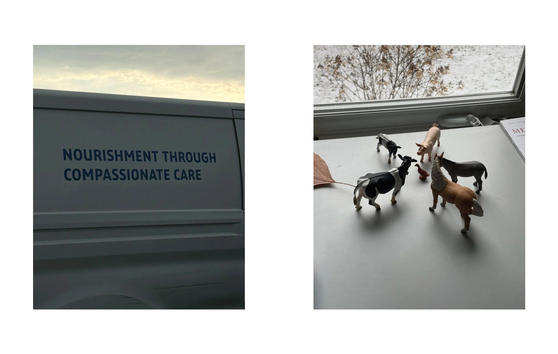 fffffffdsdsfdsfds-24 copy.jpeg