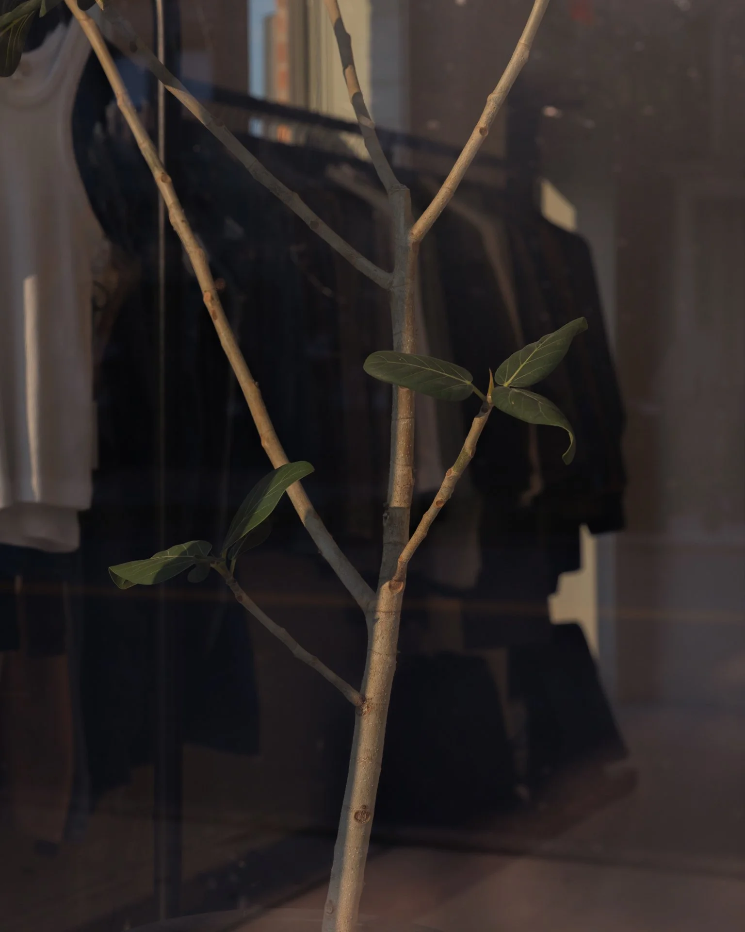 Eugenie_DanielRibar (2).jpeg