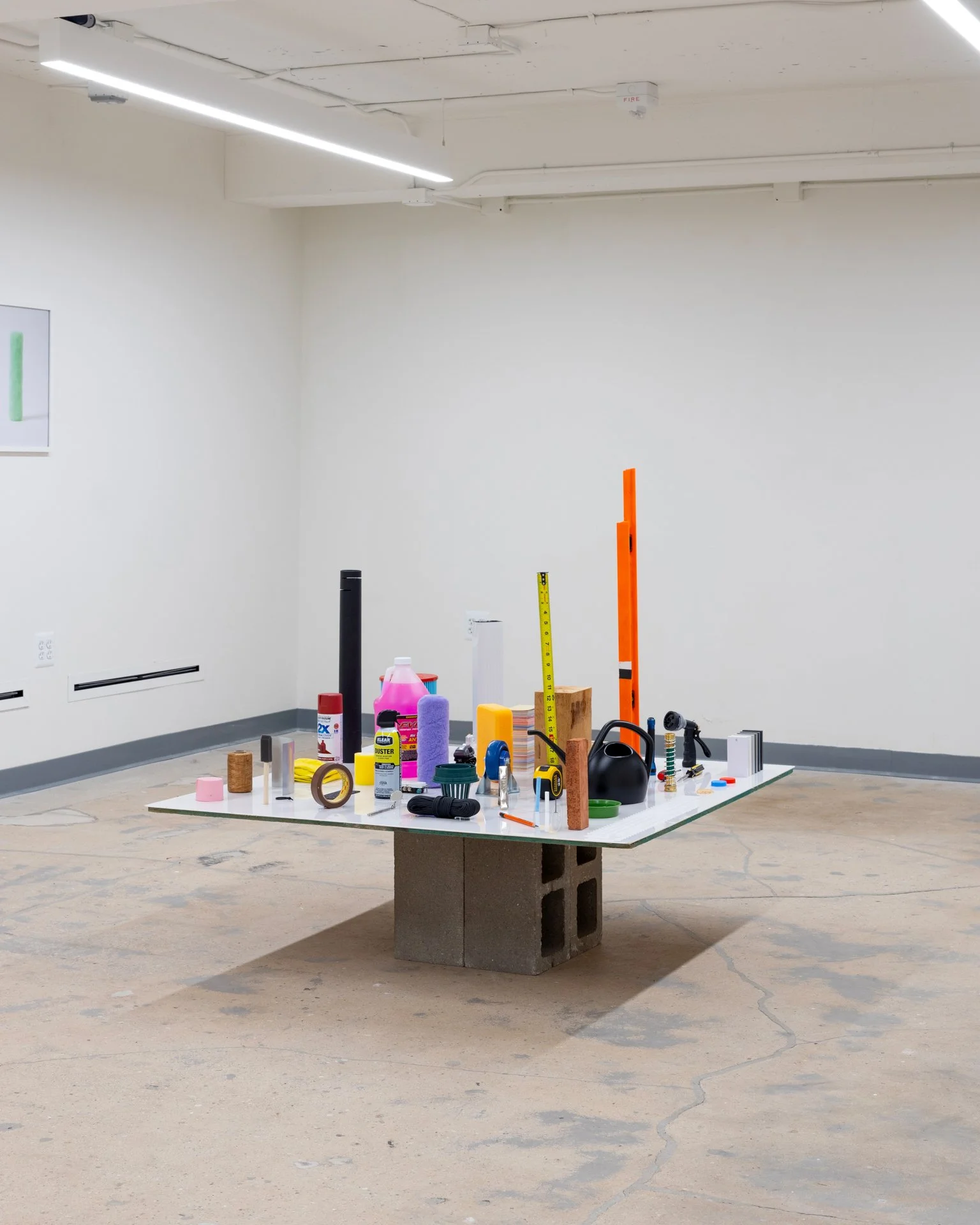 Daniel Language of Function Crit (1).jpeg