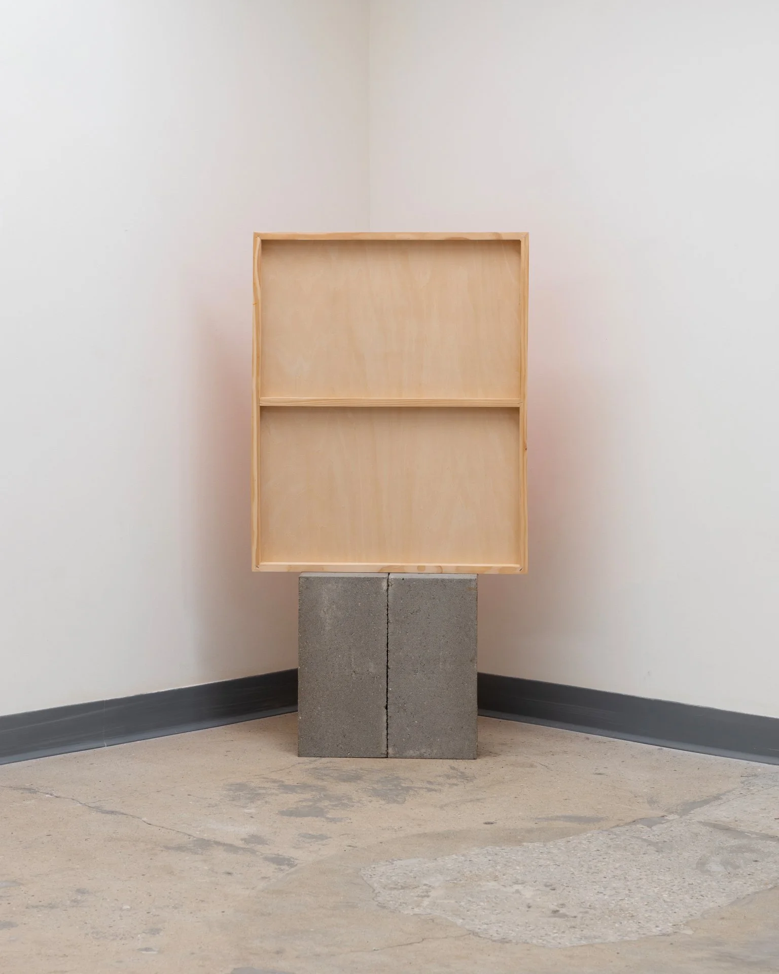 Daniel Language of Function Crit (5).jpeg