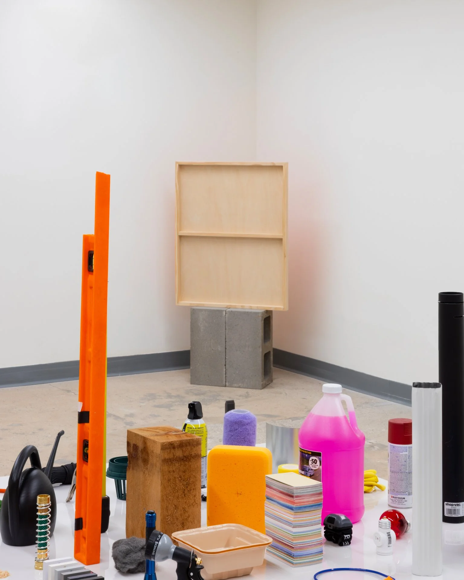 Daniel Language of Function Crit (9).jpeg