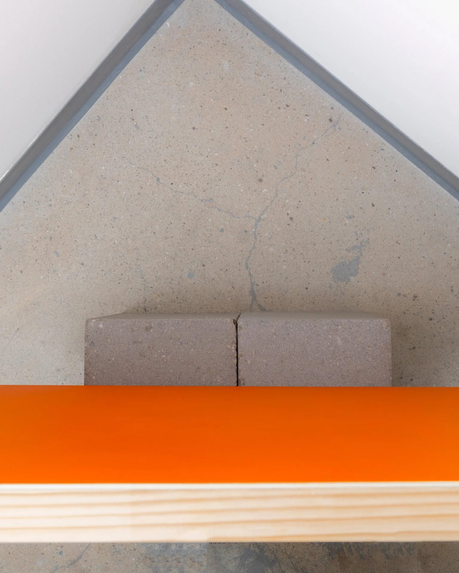 Daniel Language of Function Crit (6).jpeg