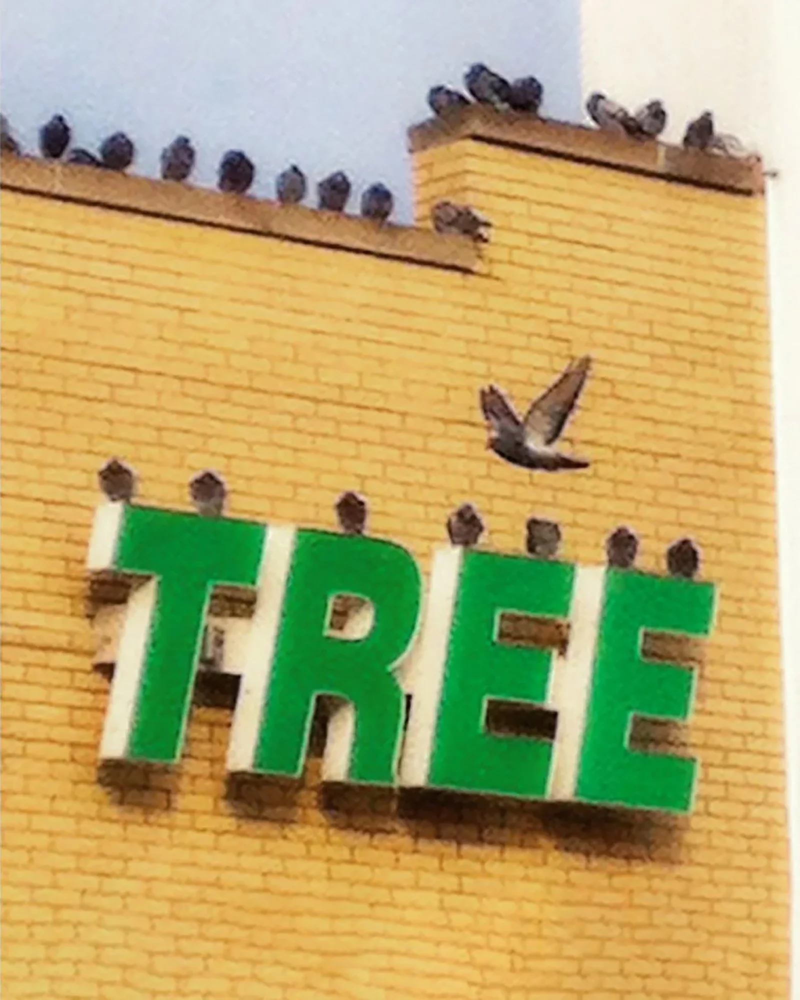 Untitled-25+copy copy.jpg