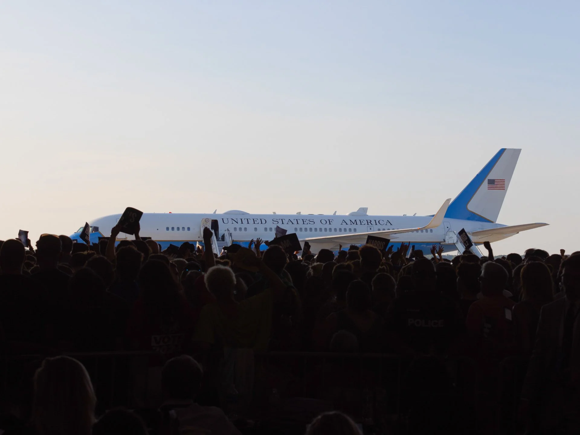 Daniel Ribar_Violet_03_1.jpg