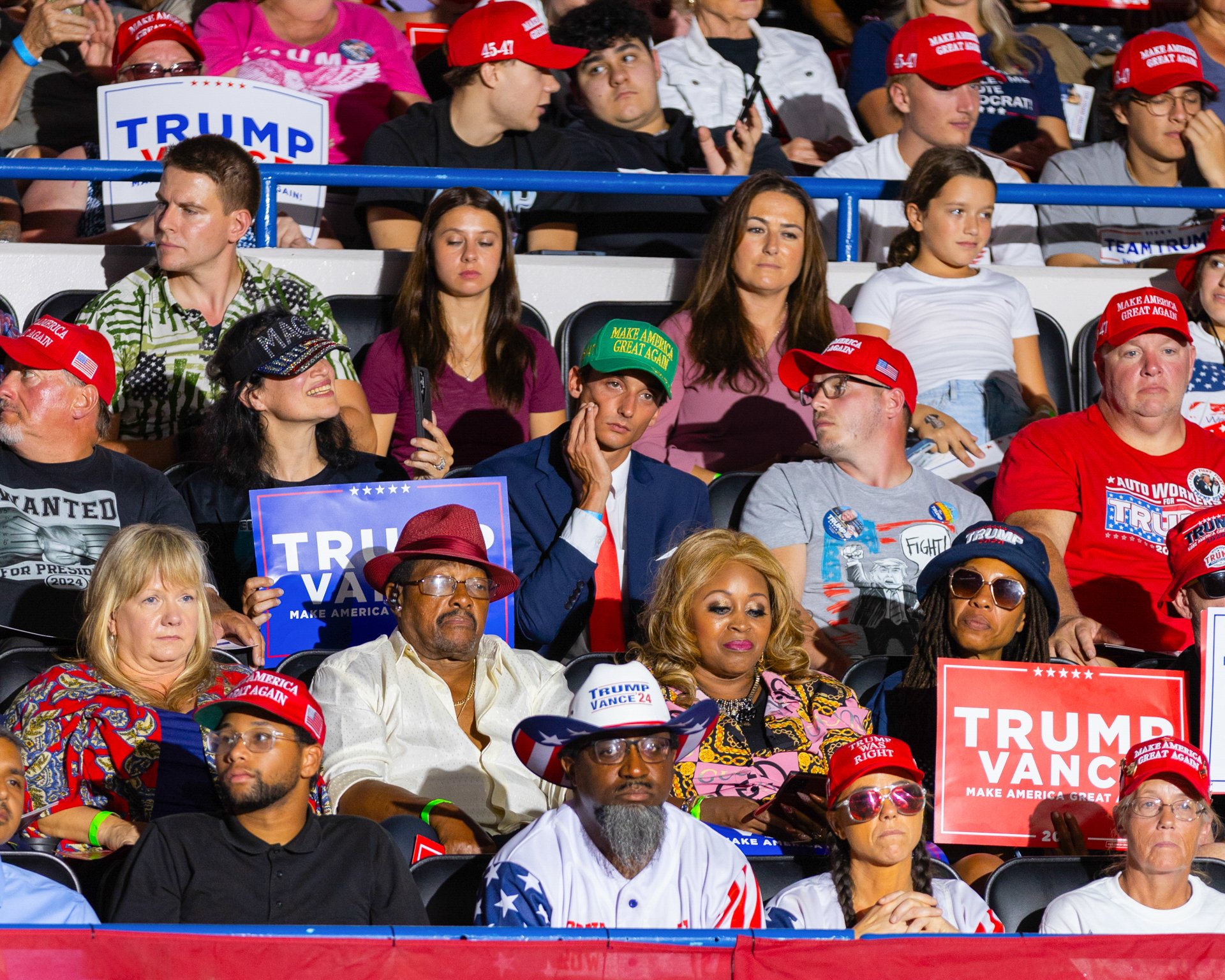 Daniel Ribar_Violet_06_1.jpg