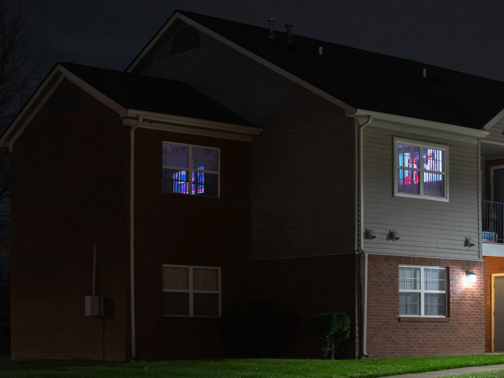 Daniel Ribar_Violet_07_1.jpg