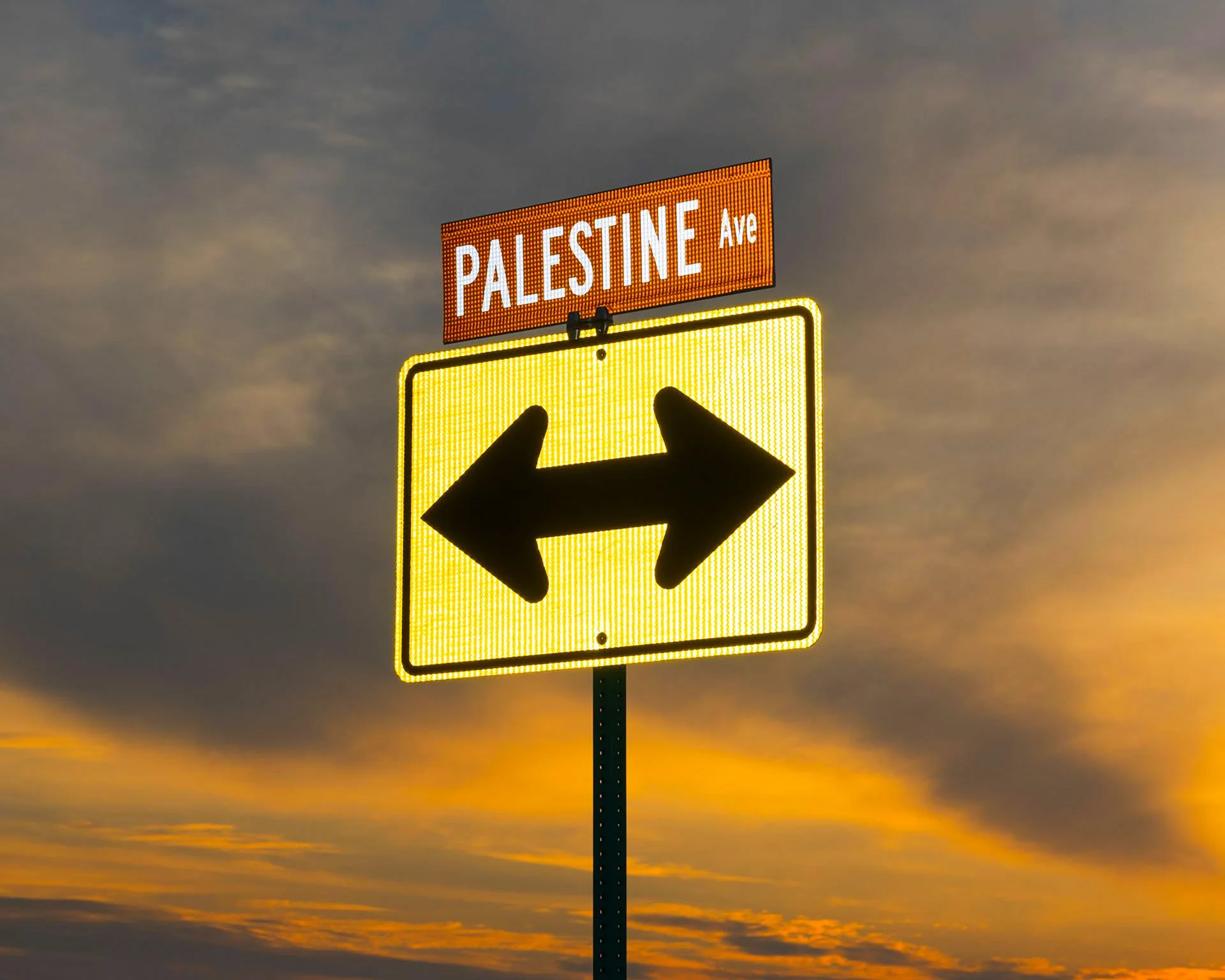 Daniel Ribar_Violet_08_1.jpg