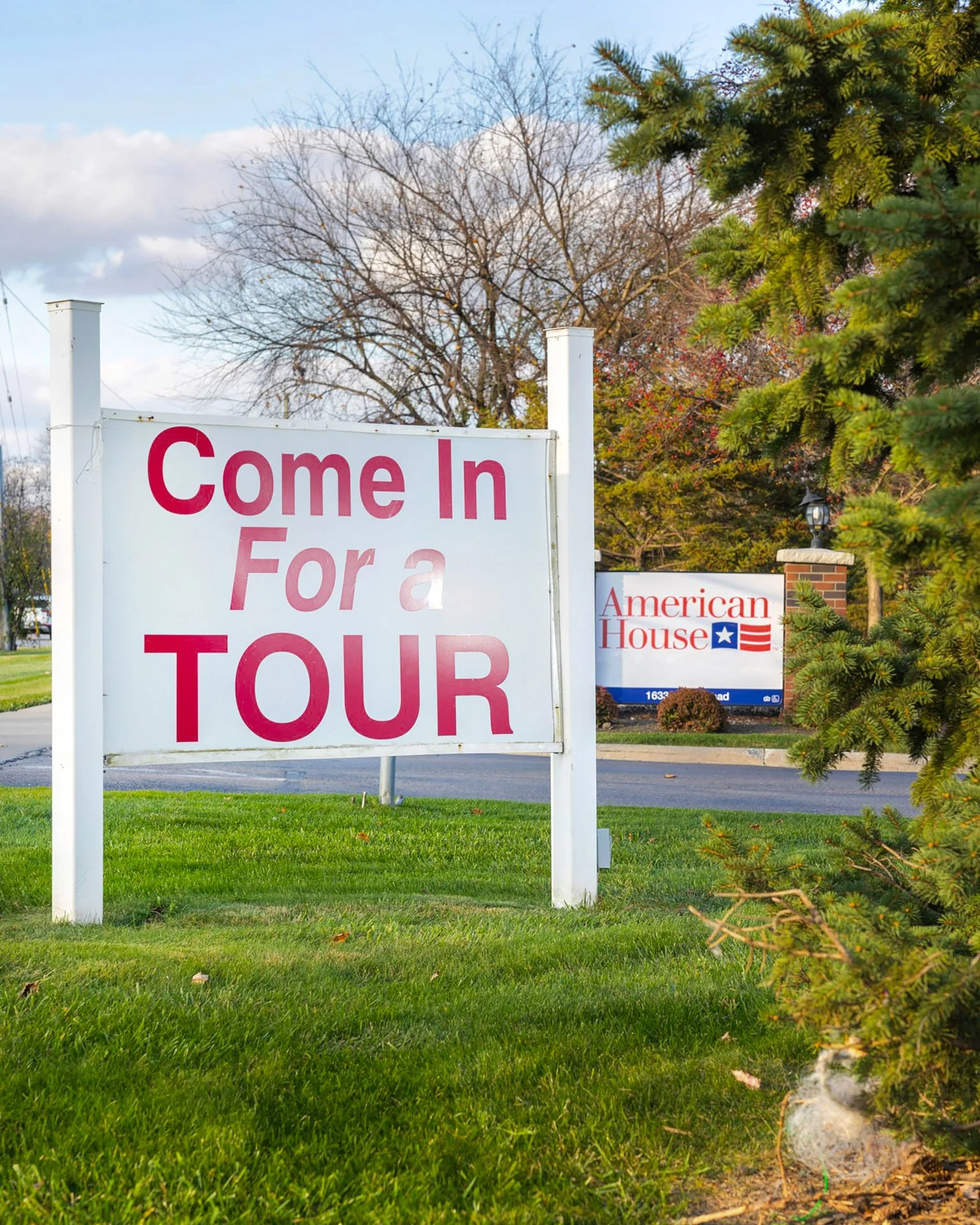 Daniel Ribar_Violet_11_1.jpg