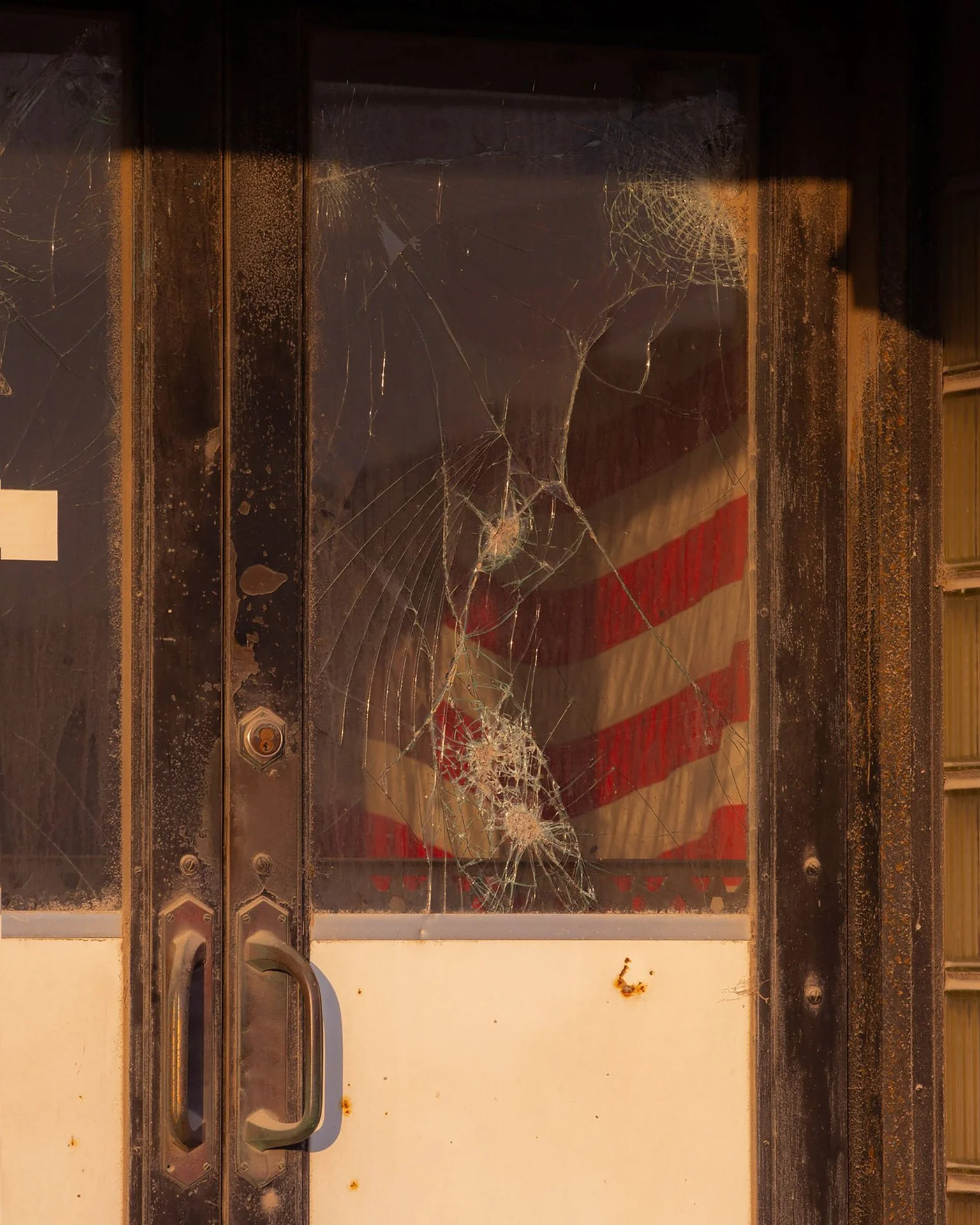 Daniel Ribar_Violet_13_1.jpg