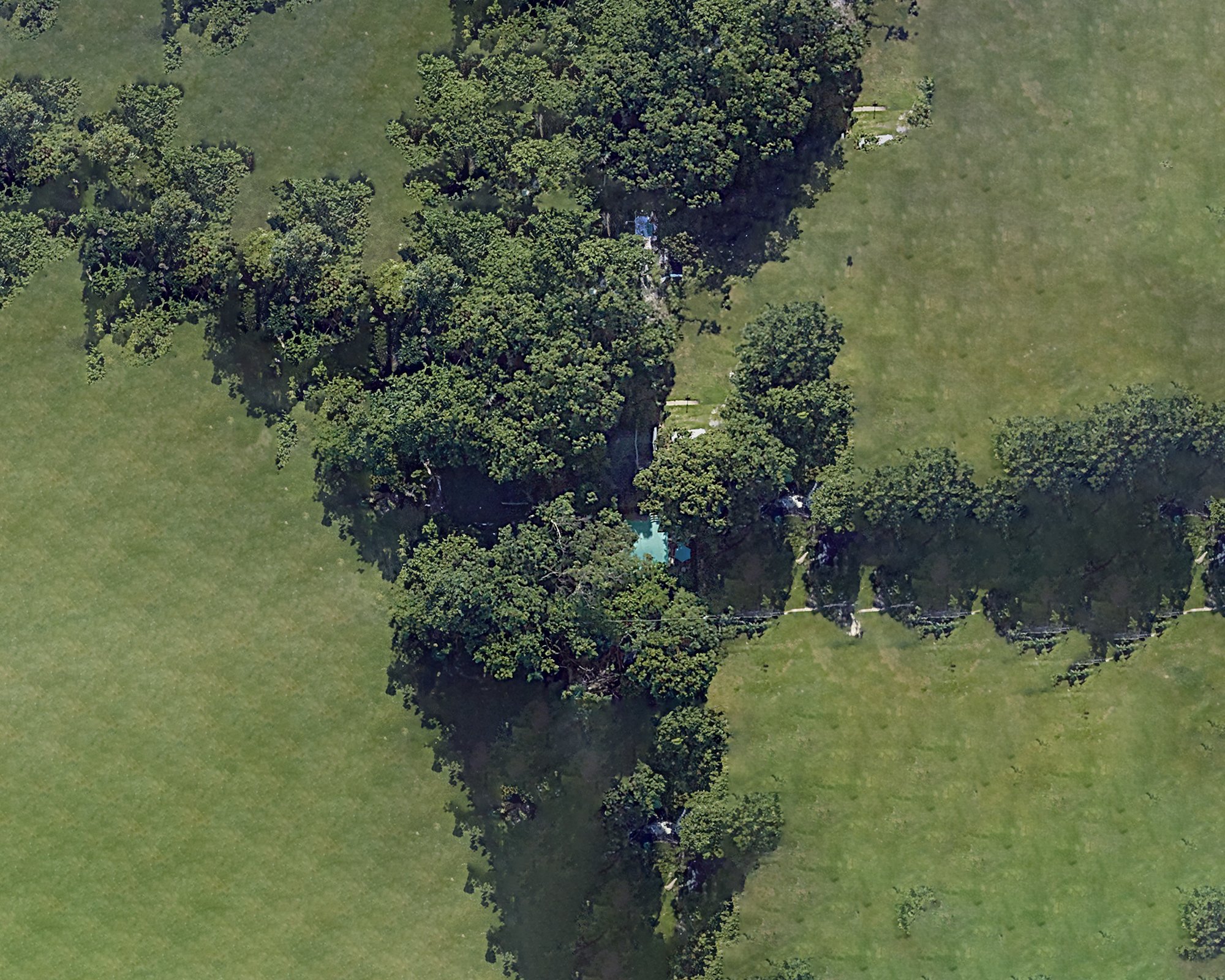 Daniel Ribar (4) copy.jpg