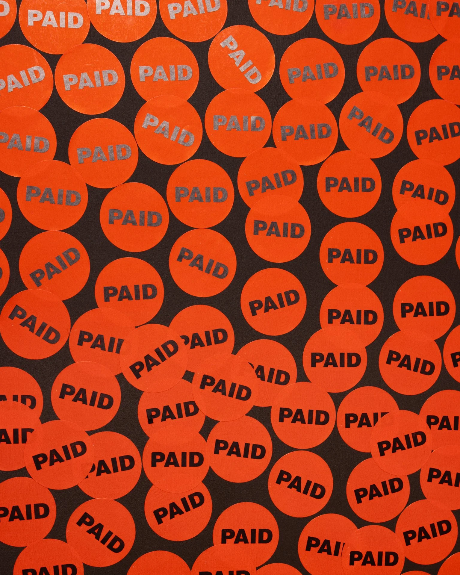 Paid_Daniel Ribar.jpg