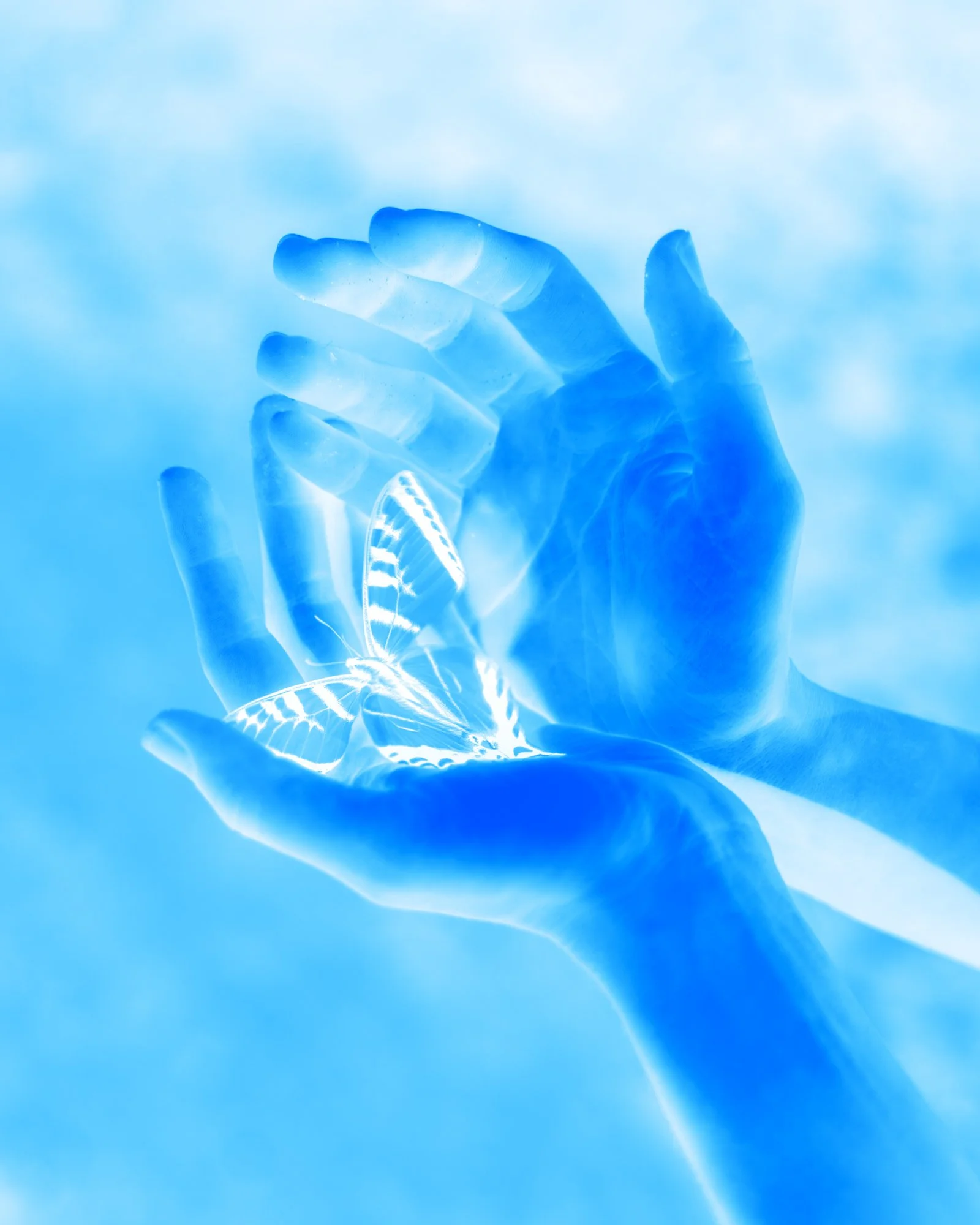 Hands 36x45_1.jpg